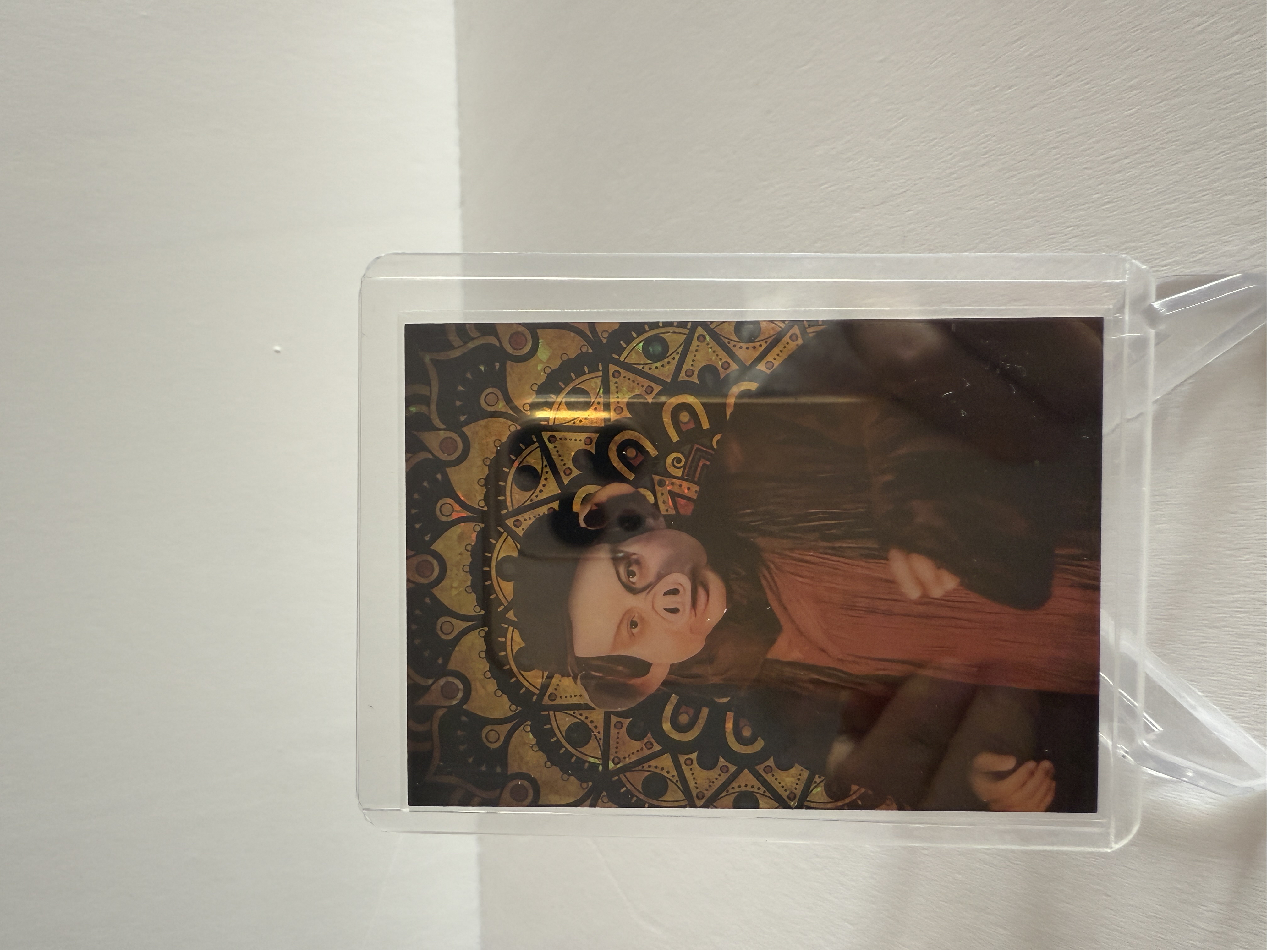 卡星时代 大话西游 奶思拆卡社 M19 猪八戒 金阙西行卡 孔雀背 20/25 25编 不保卡品 A102521