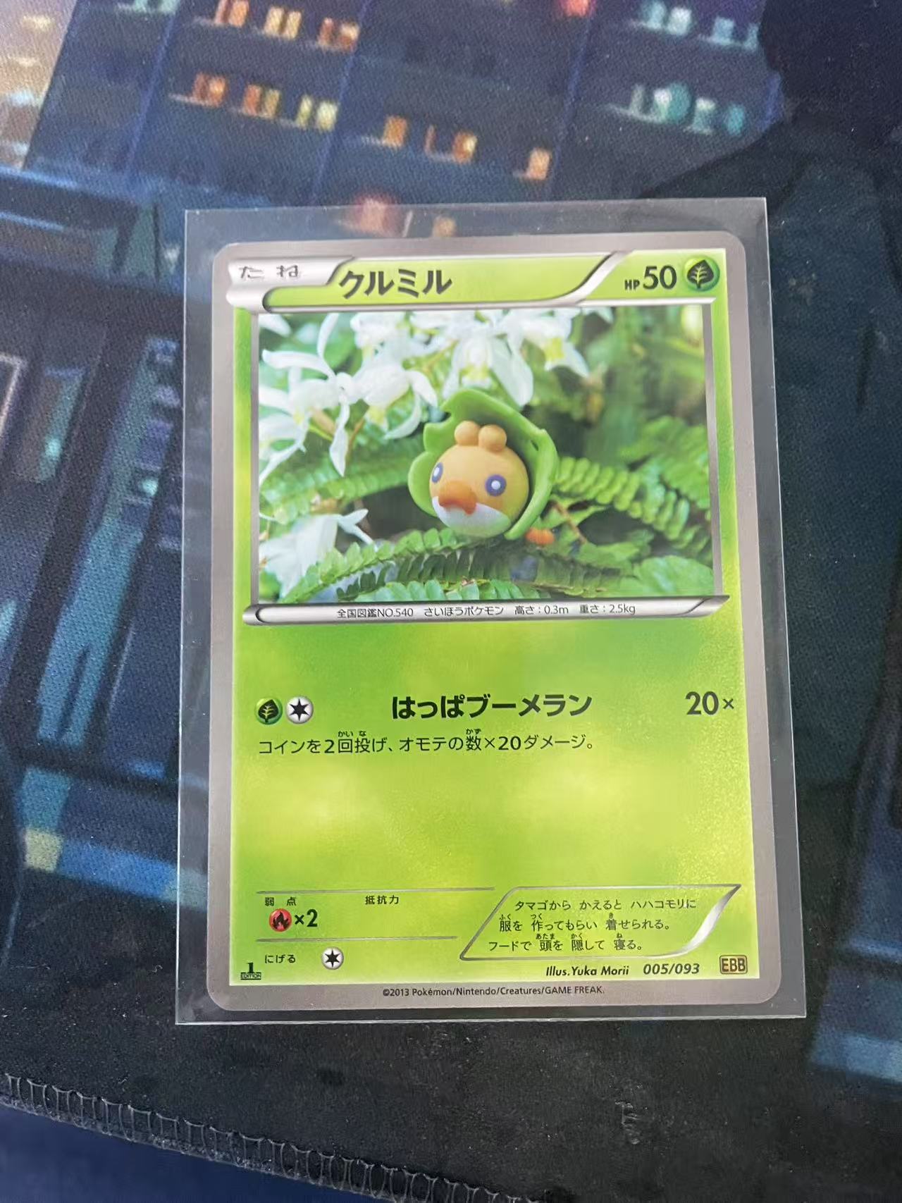 2024 Pokemon TCG 1 ja 宝可梦 日文 日版 木水拍卖第二百十九期