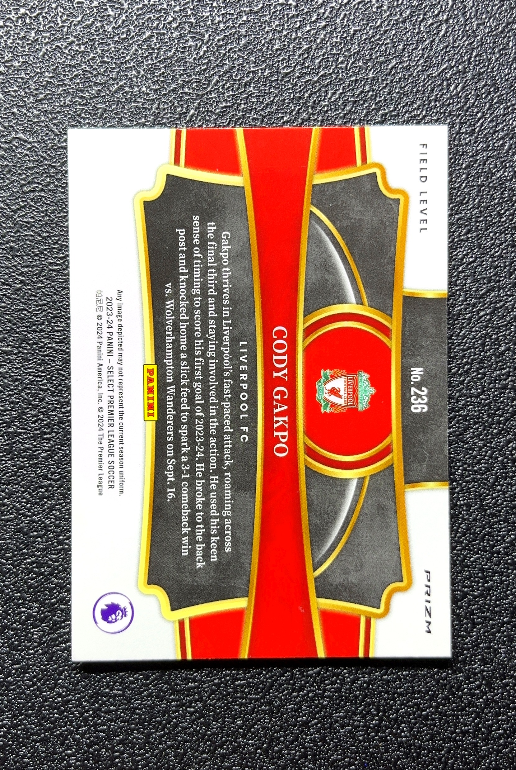 【小白1%代卖】2024 Panini Select Cody Gakpo 科迪·加克波 卡品如图 高价值 #236 Liverpool FC 利物浦足球俱乐部 0809