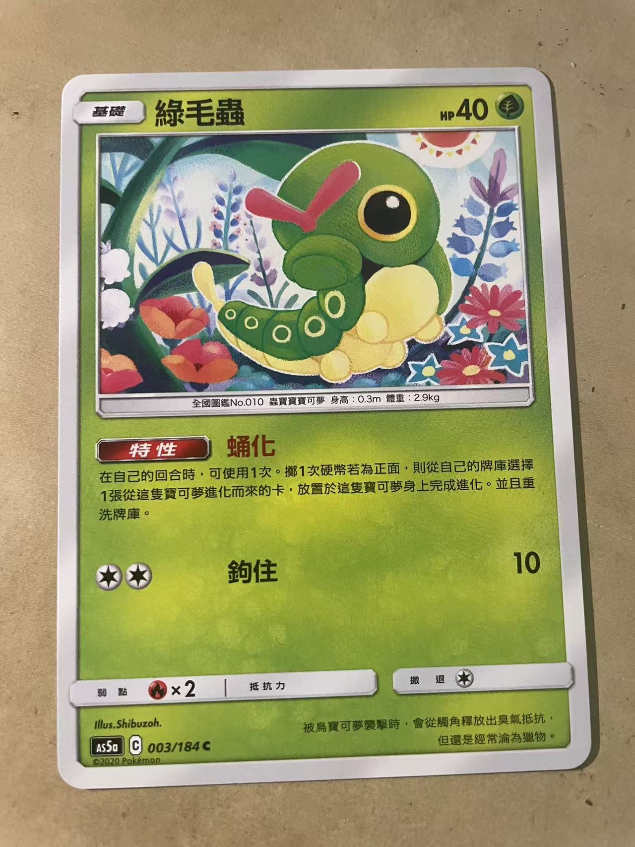 2024 Pokemon TCG 1 绿毛虫 cht 宝可梦 繁中 木水拍买第二百零二期