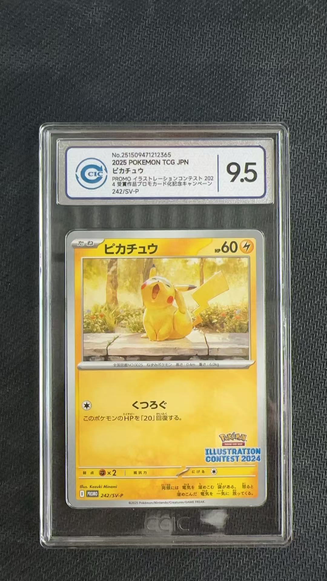 2025 Pokemon TCG PROMO 皮卡丘 ja 【卡少爷卡社】评级卡 PTCG 宝可梦 日版 皮卡丘 哈欠皮 242/SV-P CCIC 9.5分 卡品如图 ja 雷
