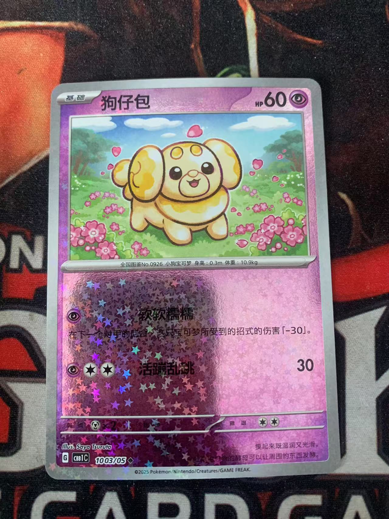 2024 Pokemon TCG 1 狗仔包 星星闪 chs 宝可梦 简中 木水拍卖第一百五十九期