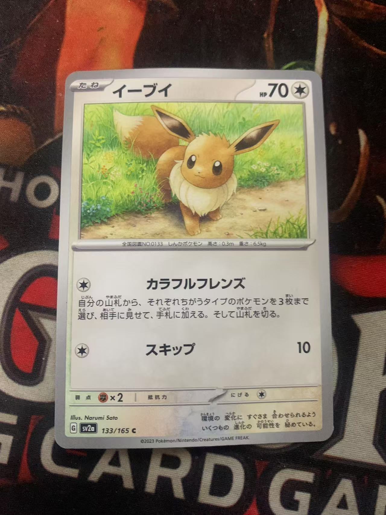 2024 Pokemon TCG 1 伊布 ja 宝可梦 日文 日版 木水拍卖第一百七十三期