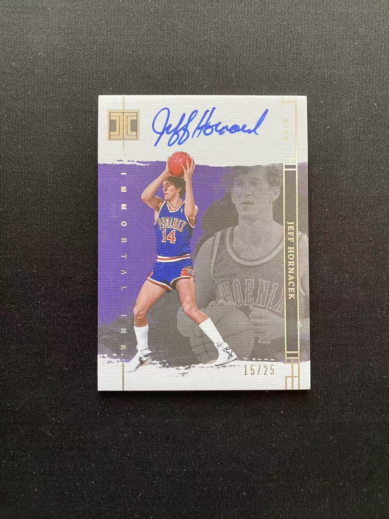 2023-24 Panini Impeccable Jeff Hornacek 小真金 太阳 杰夫霍纳塞克 签字 卡签 25编【king#63】瑕疵如图