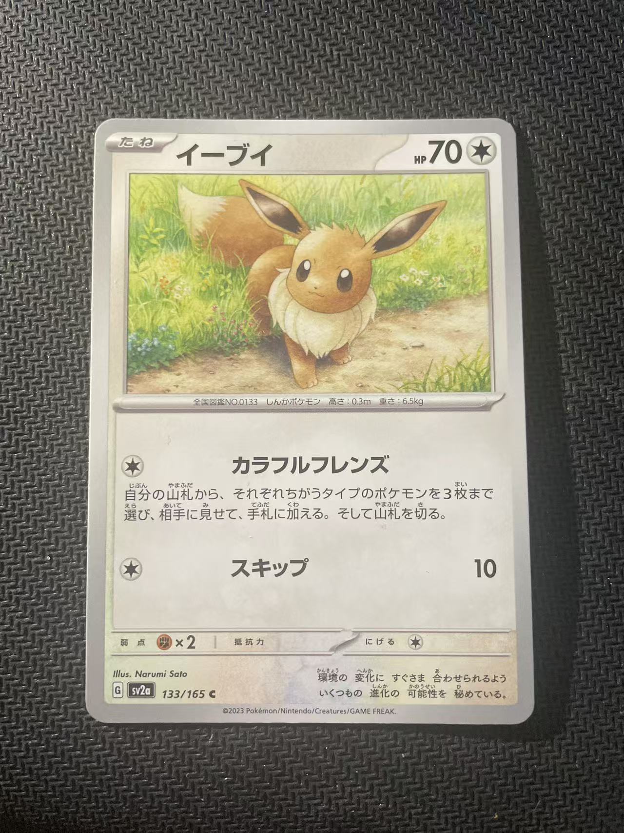2024 Pokemon TCG 1 伊布 ja 宝可梦 日文 日版 木水拍卖第二百三十一期