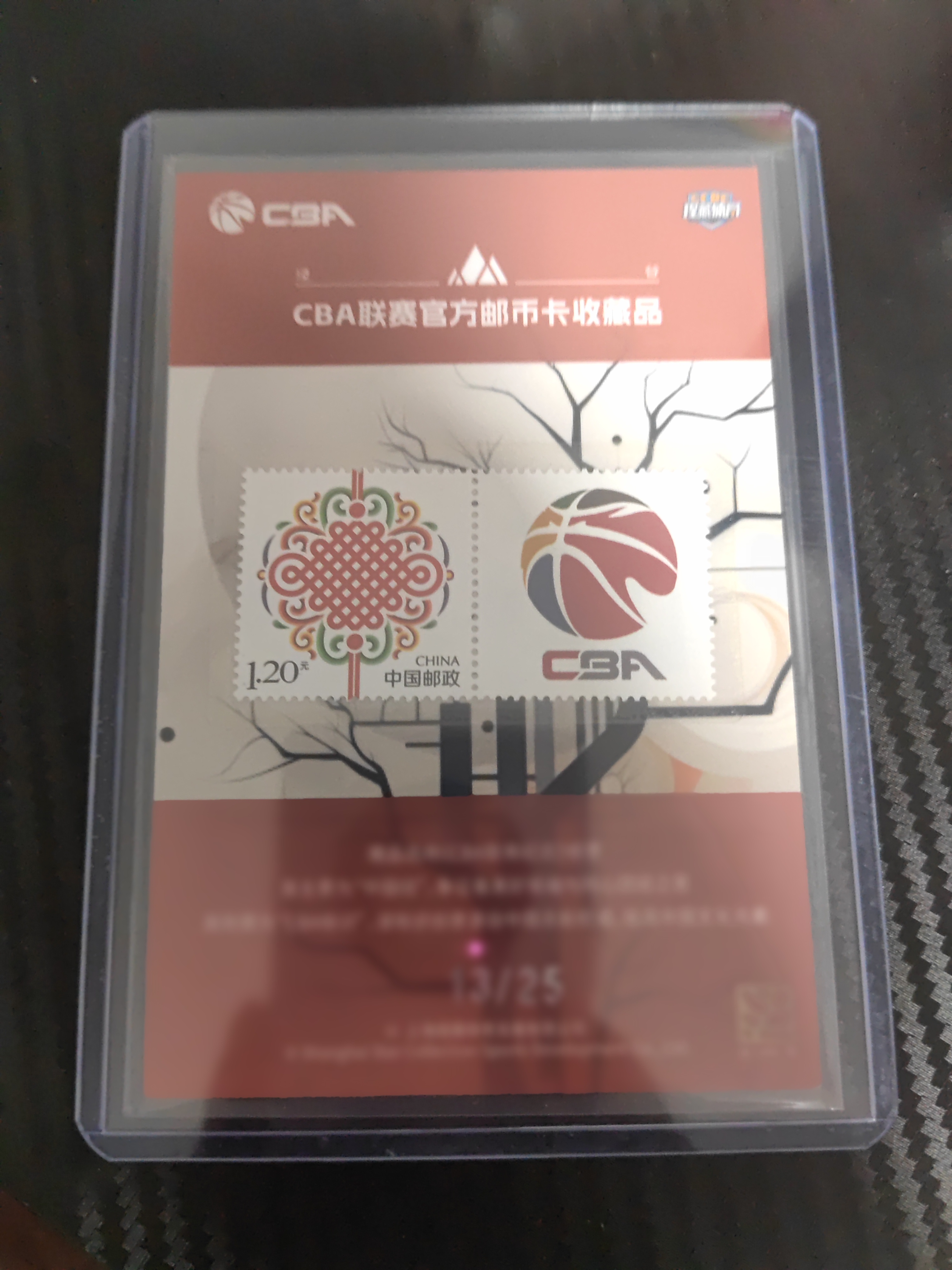 2023-24 上海瑆藏体育 泾谷系列 邹阳 2023-24 上海瑆藏体育 泾谷系列 李添荣 红龙纹 13/25编 卡品如图 收藏必备