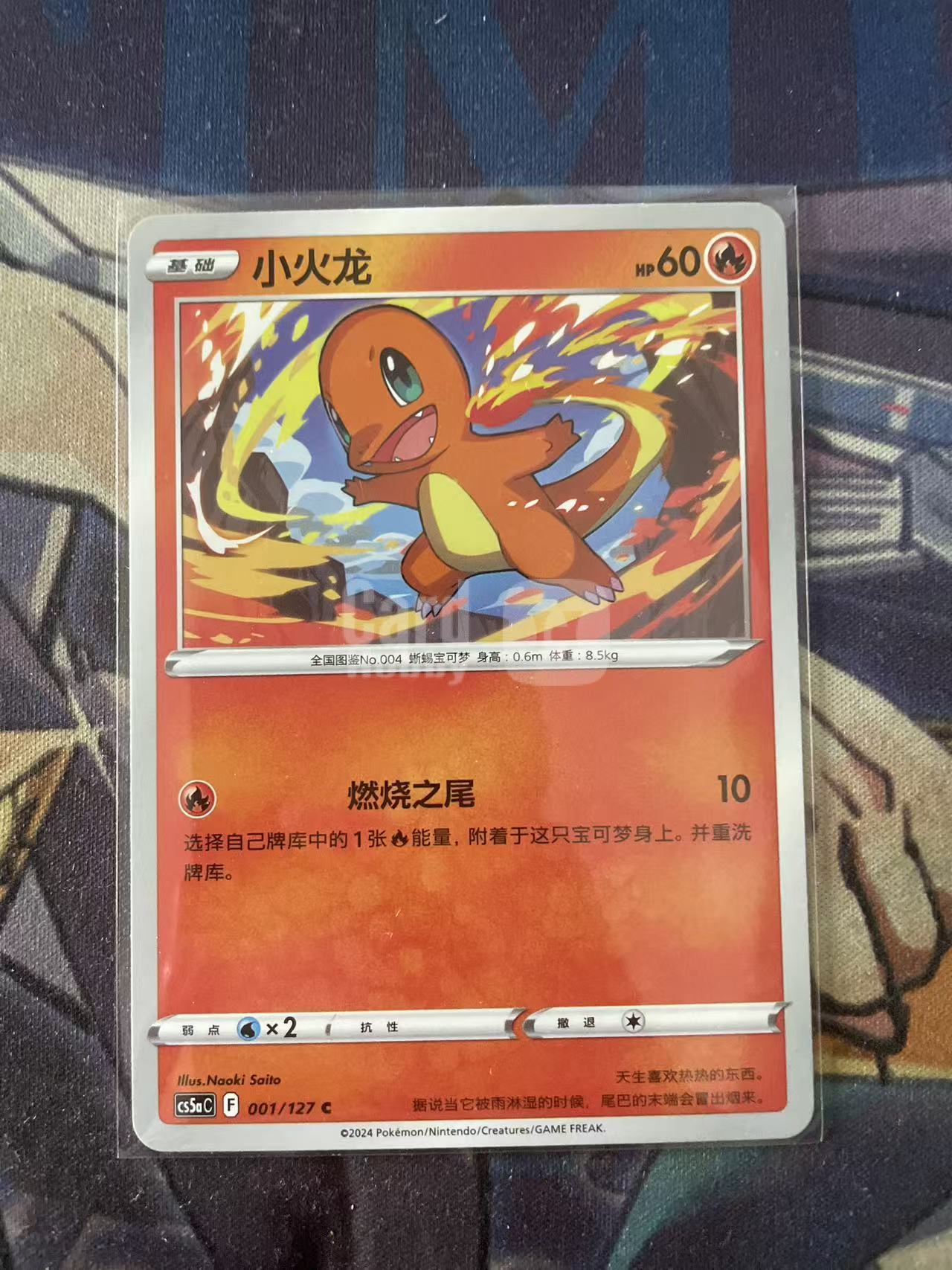 2024 Pokemon TCG 1 小火龙 chs 宝可梦 简中 木水拍卖 93