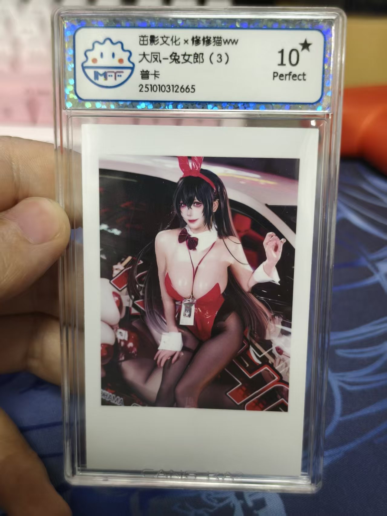 茁影文化 修修猫ww 大凤 兔女郎 嘿丝 极其霸道的身材 超级大灯 十星完美评级