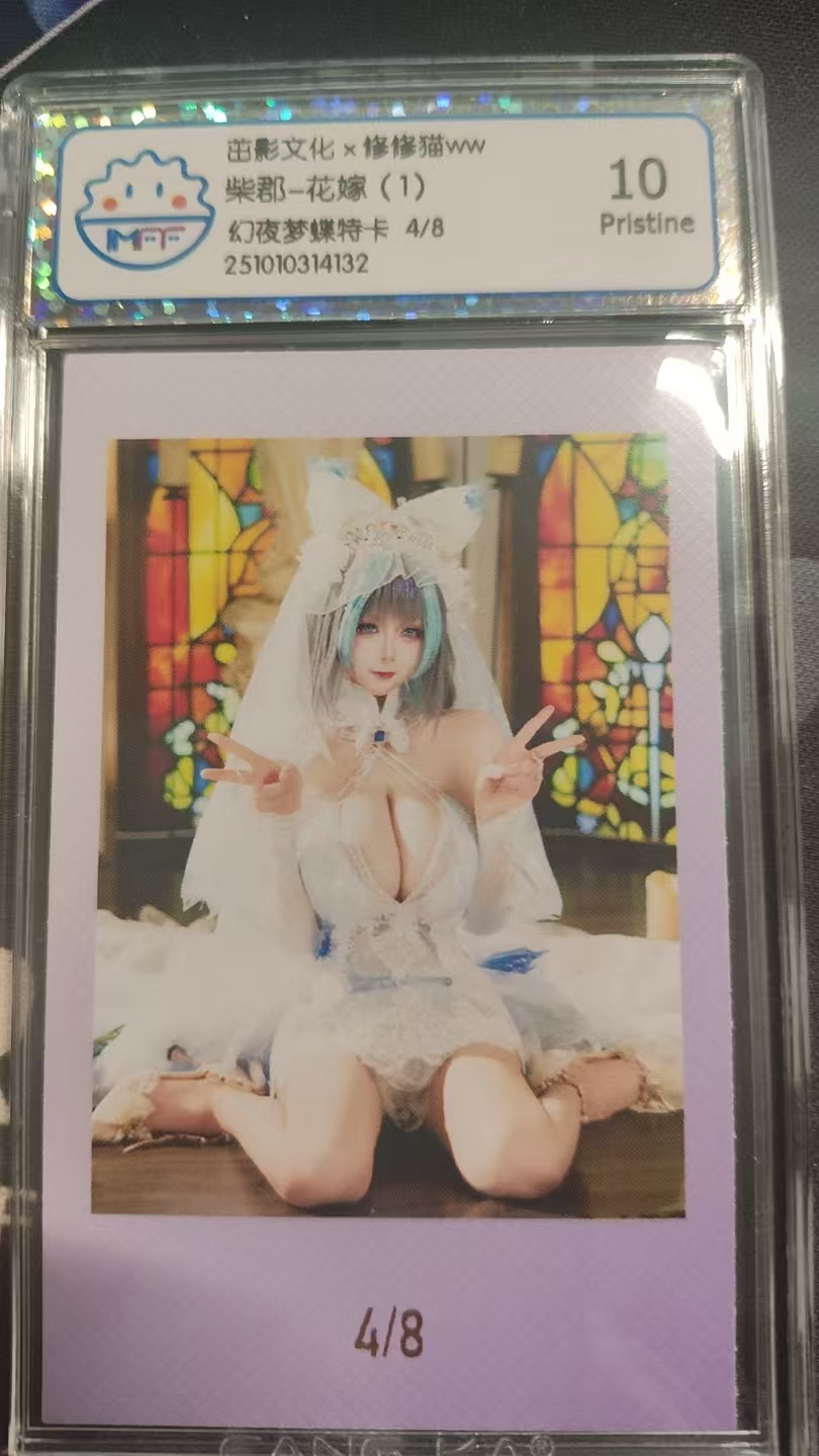 茁影文化--限定明星评级卡--修修猫--HIT隐藏紫罗兰特卡现编--04/08编--柴郡花嫁
