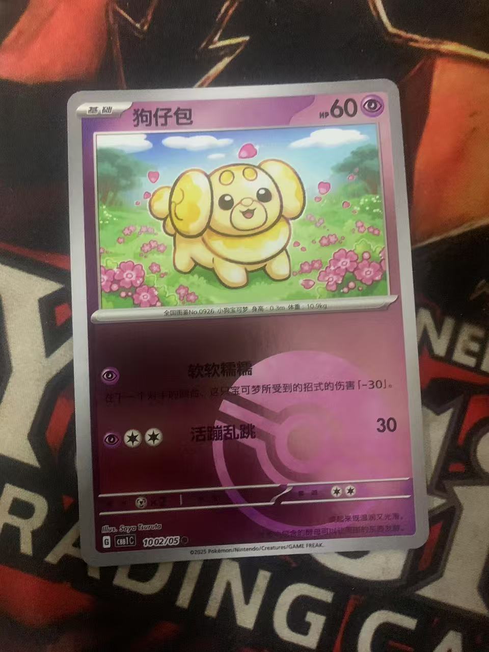 2024 Pokemon TCG 1 狗仔包 精灵球闪 chs 宝可梦 简中 木水拍卖第一百七十二期