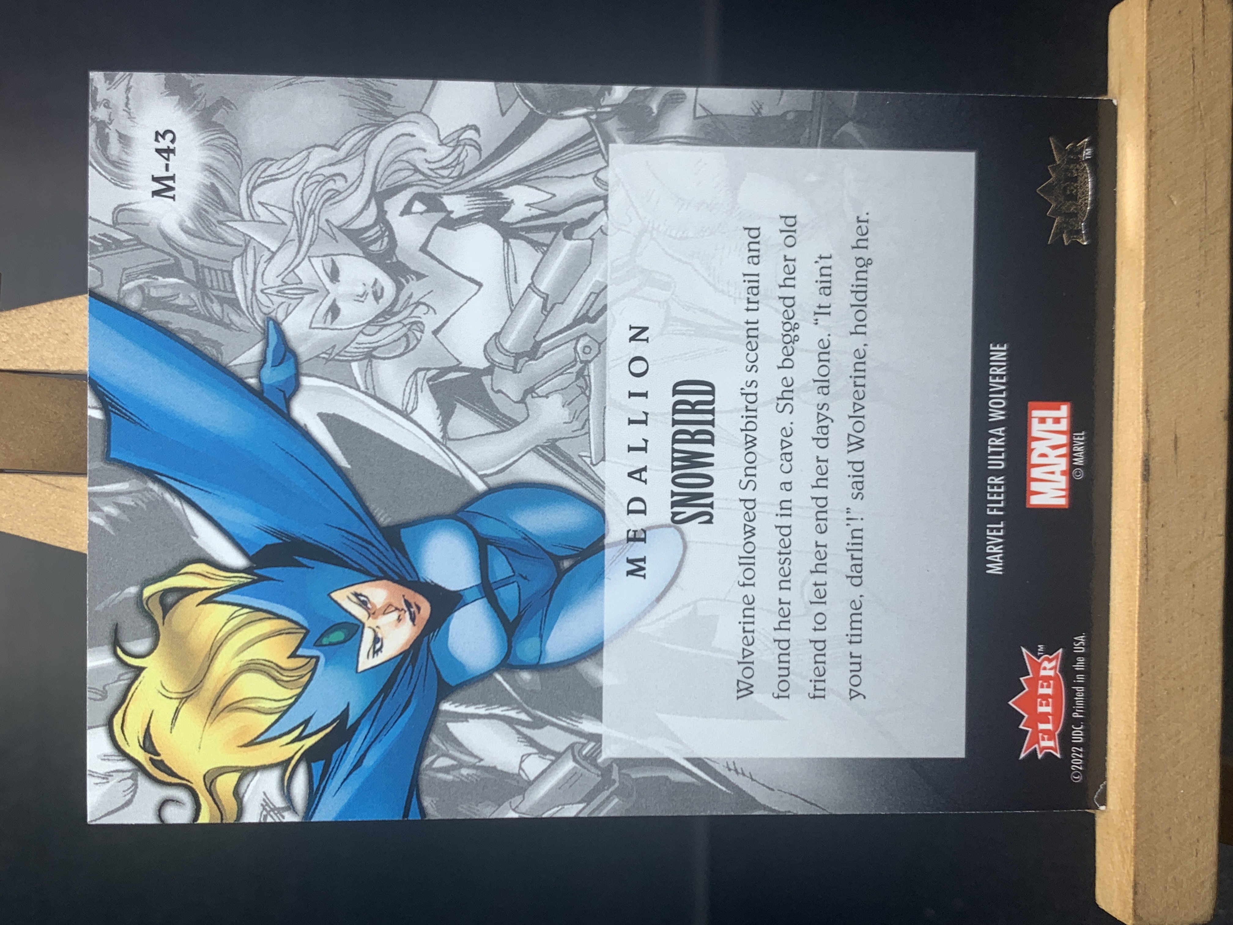 (K5)2022 FLEER MARVEL 漫威 奖章 特卡 雪鸟 实卡好看 收藏凑套必备 卡品如图 !!!