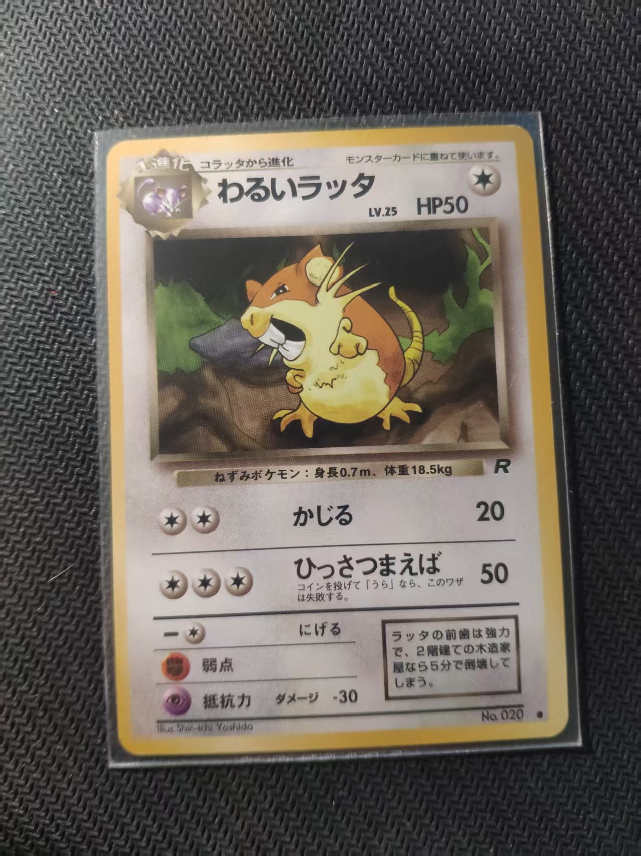 2025 Pokemon TCG 1 拉达 老球背 ja 宝可梦 日文 日版 木水拍卖 HAZY