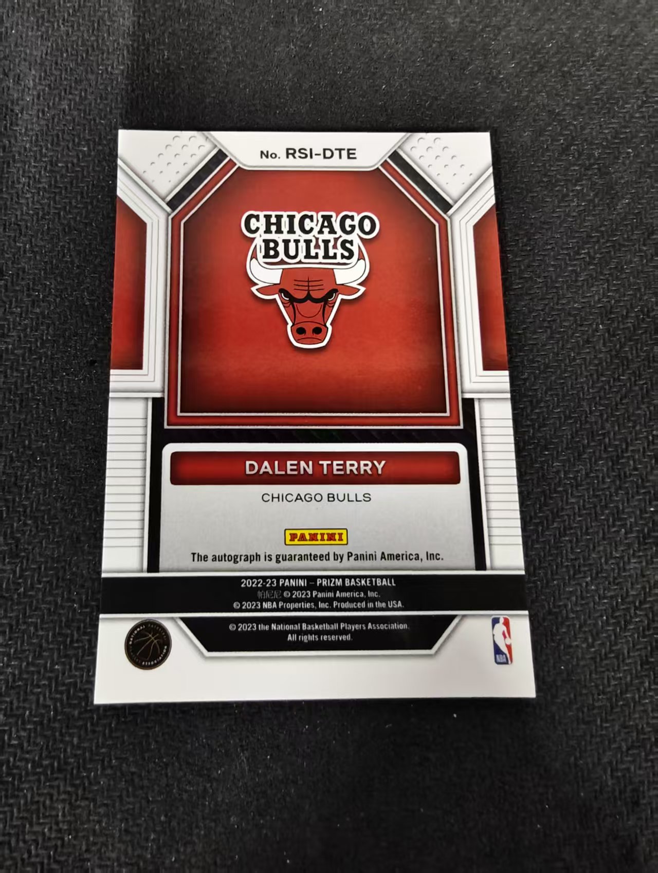 2022-23 Panini Prizm Dalen Terry RC 达伦 特里 新秀 签字 新秀签 公牛队 瑕疵如图
