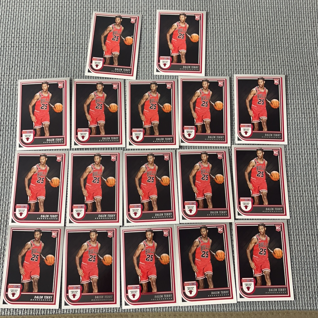 2022-23 Panini NBA Hoops Dalen Terry RC 公牛队 达伦 特里 新秀 17张卡 具体如图 y6