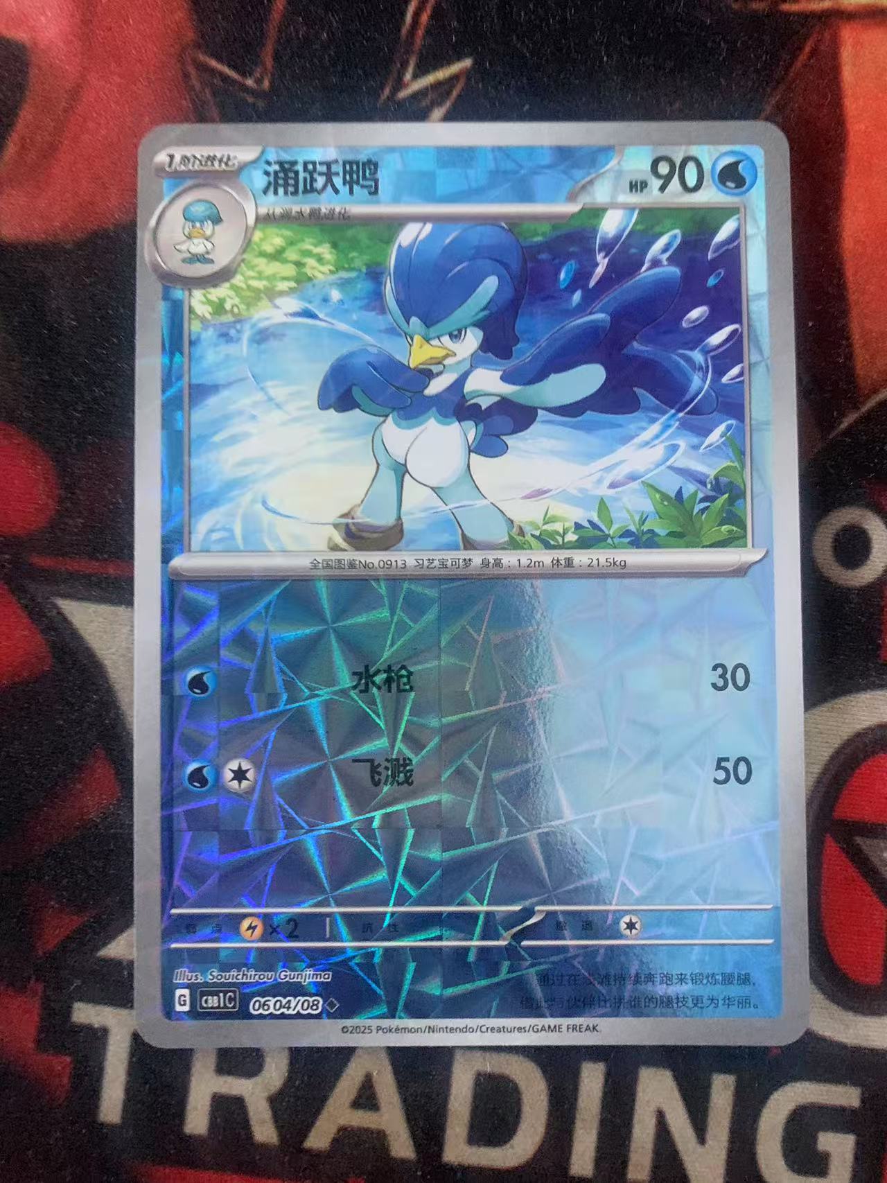 2024 Pokemon TCG 1 踊跃鸭 棱镜闪 chs 宝可梦 简中 木水拍卖第一百七十九期