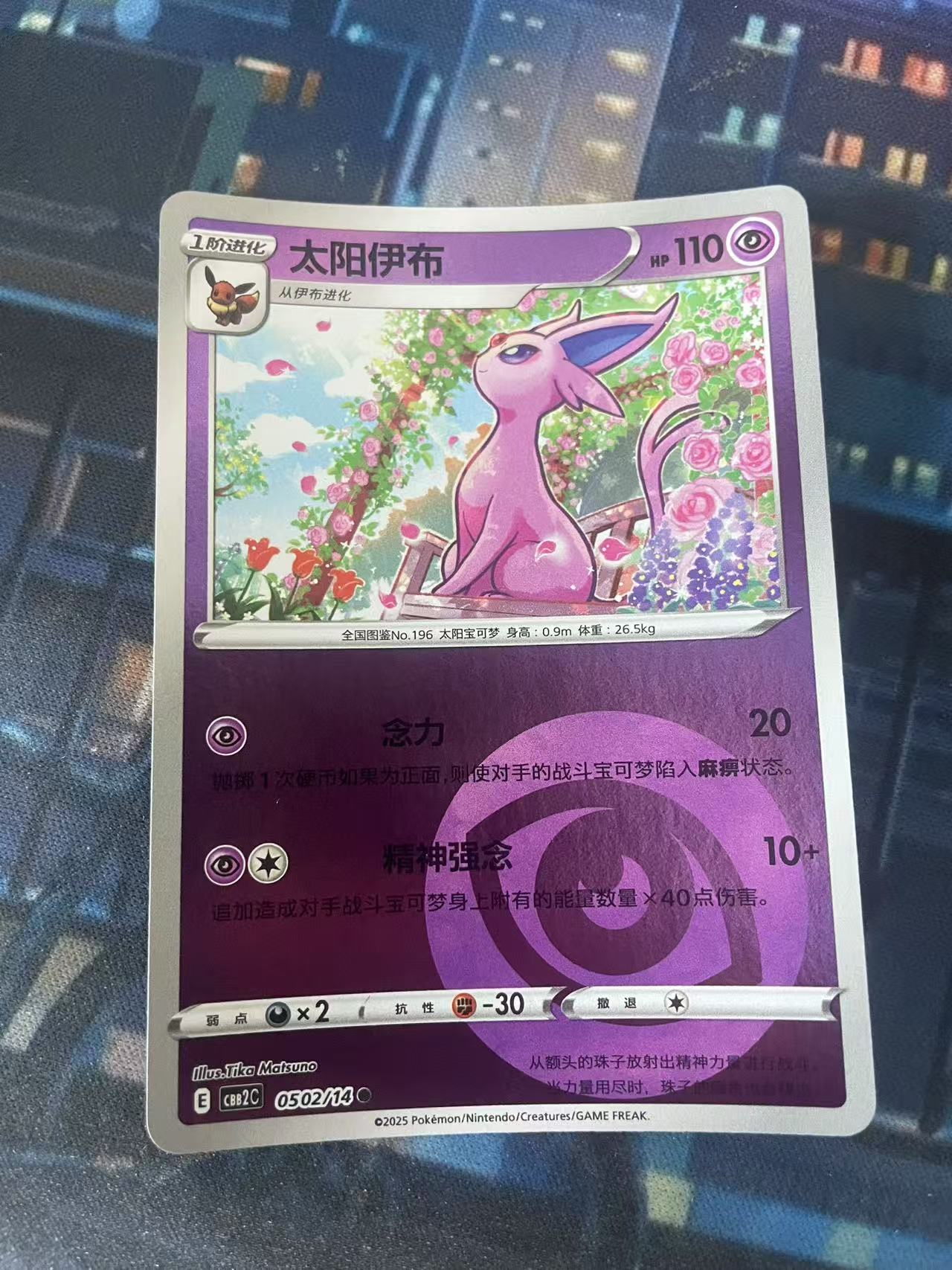 2024 Pokemon TCG 1 太阳伊布 球闪 chs 宝可梦 简中 木水拍卖第二百十一期