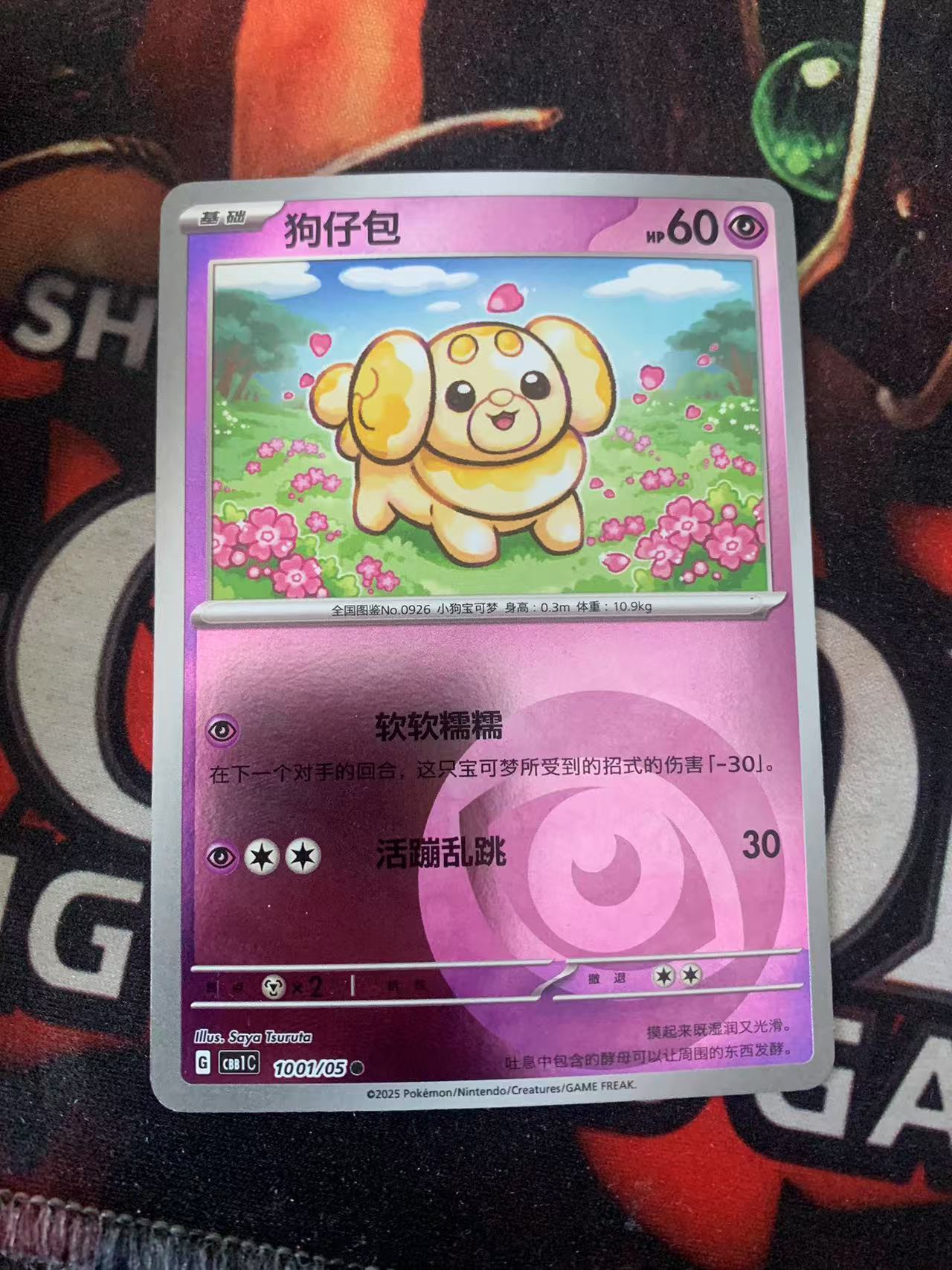 2024 Pokemon TCG 1 狗仔包 球闪 chs 宝可梦 简中 木水拍卖第一百五十九期