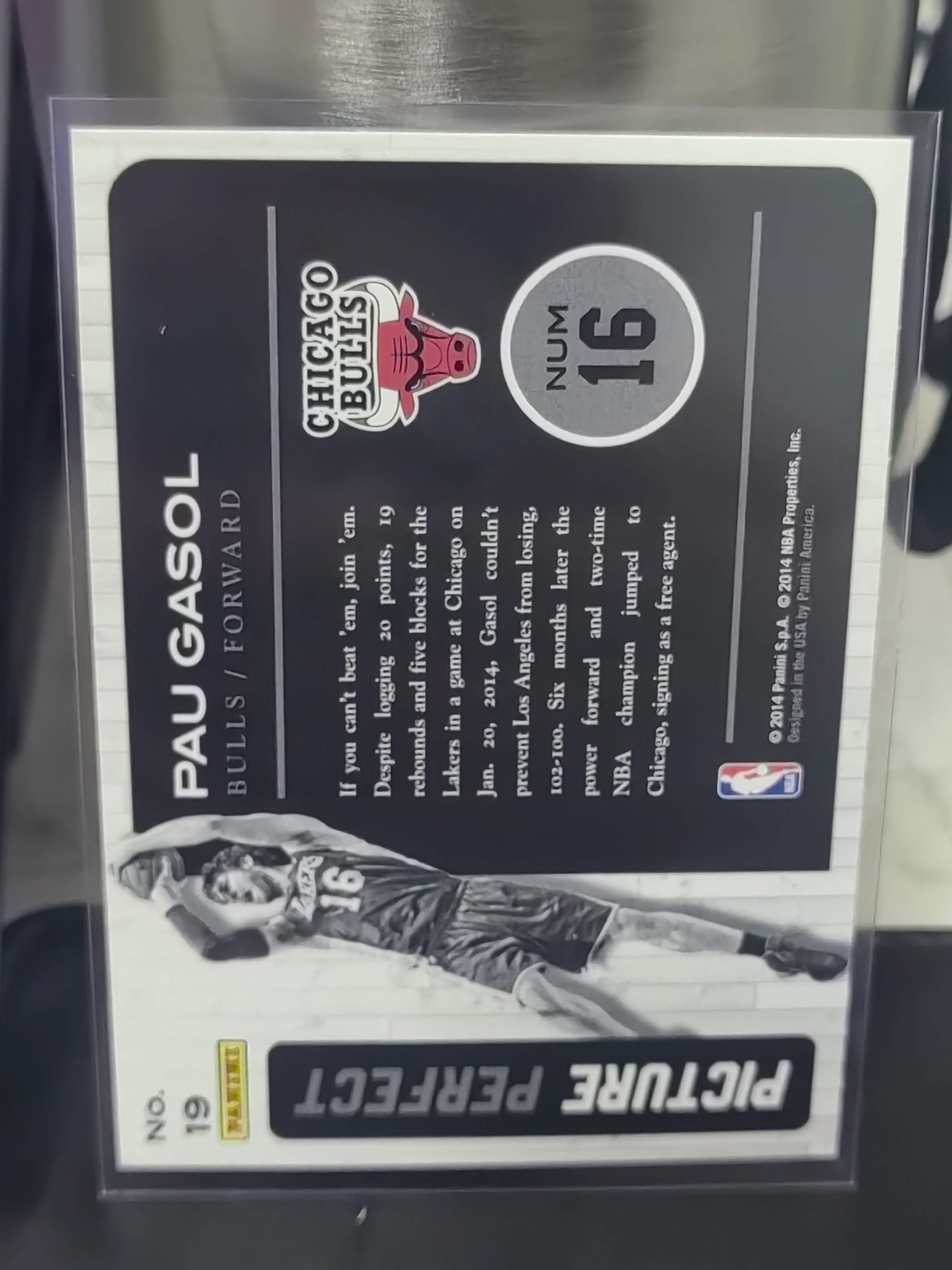2014 Panini S.p.A Pau Gasol 中雅图 保罗加索尔 公牛 特卡 大头 肖像 篮 白边白角 不保卡品 卡品如图