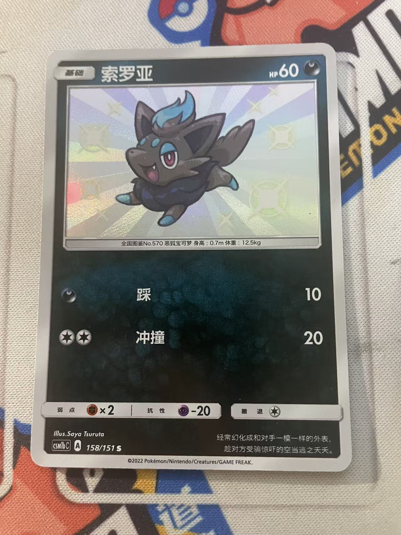 2023 Pokemon TCG 1 索罗亚 S闪 chs 宝可梦 简中 木水拍卖第二百三十期