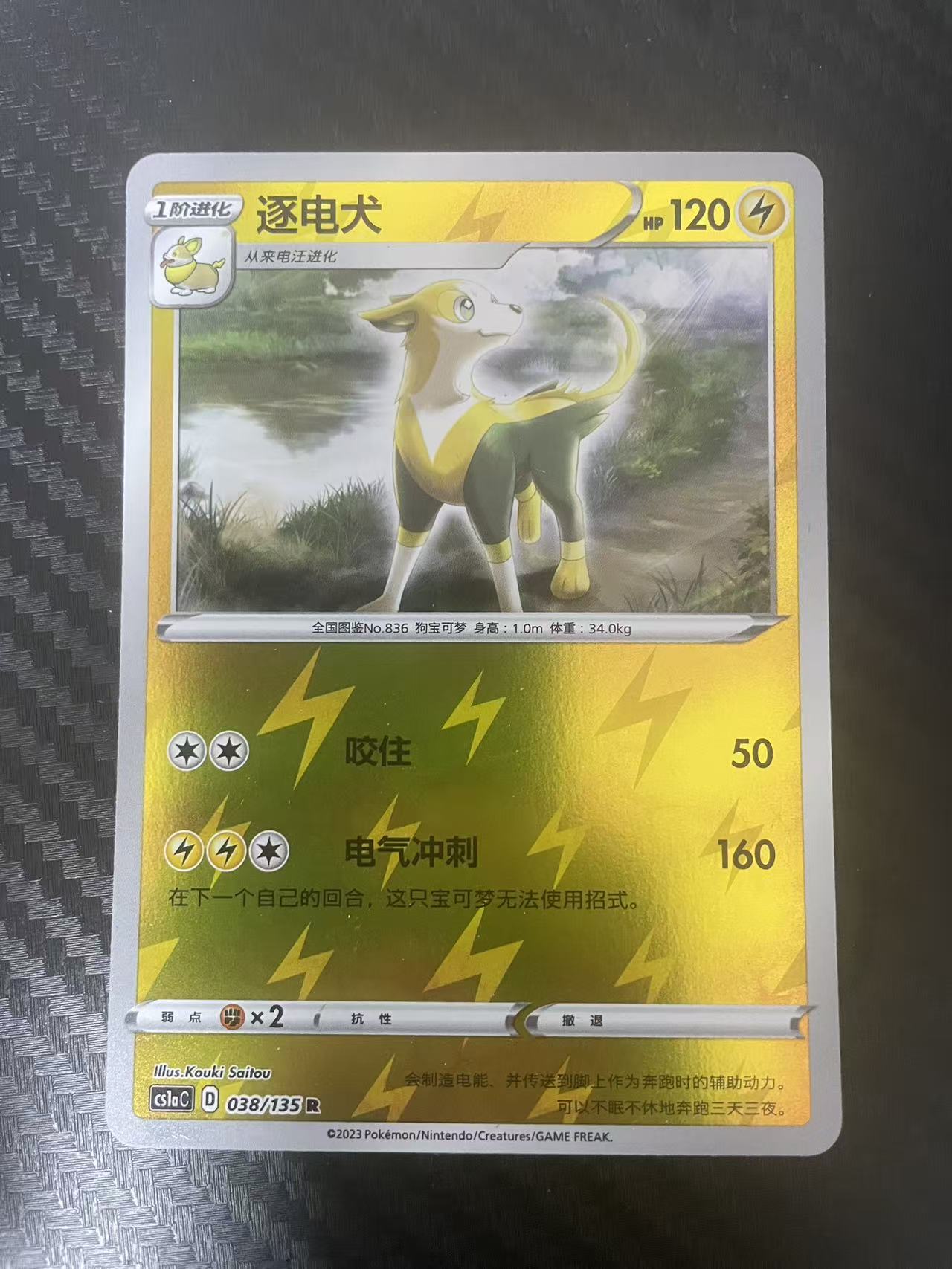 2025 Pokemon TCG 1 雷电犬 球闪 chs 宝可梦 简中 木水拍卖 122