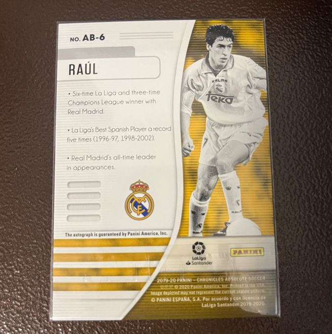 Panini Chronicles Raul