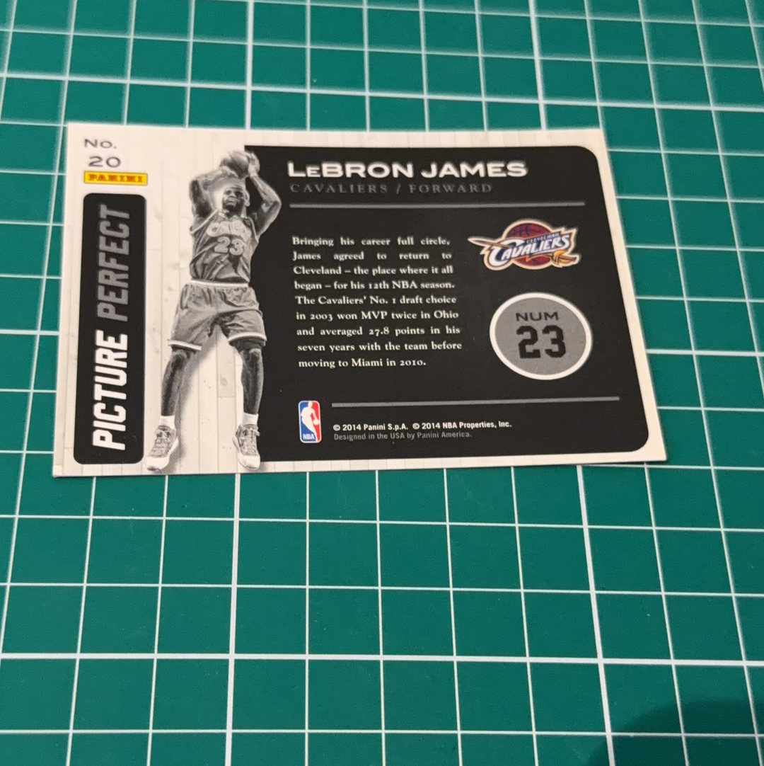 2014-15 Panini Americana LeBron James S.p.a. 勒布朗詹姆斯 小皇帝 LBJ 大头特卡 闪卡 双选图 十年老卡 绝版卡 稀有大比例 收藏必备