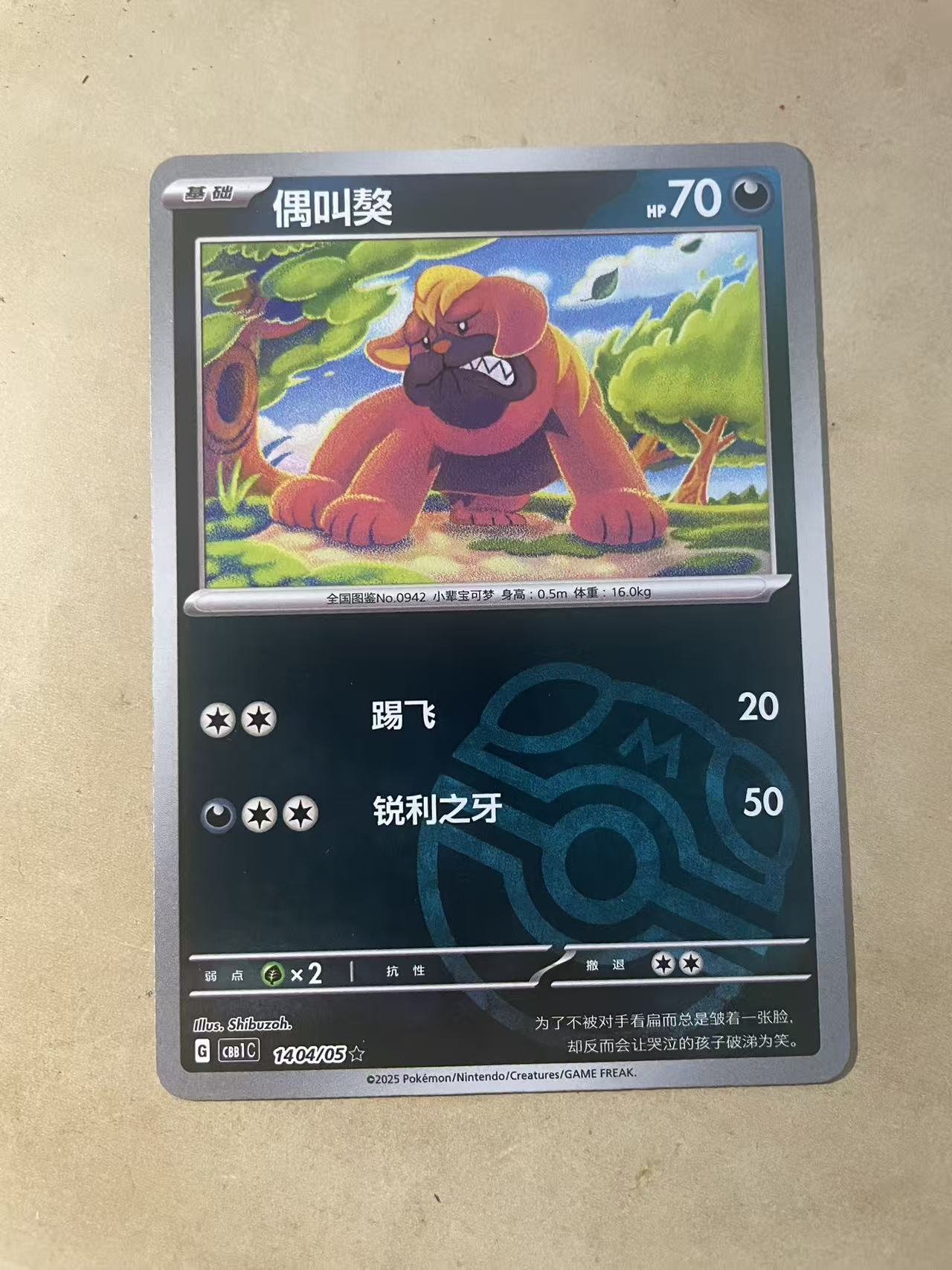 2024 Pokemon TCG 1 偶叫敖 大师球闪 chs 宝可梦 简中 木水拍卖第一百八十八期