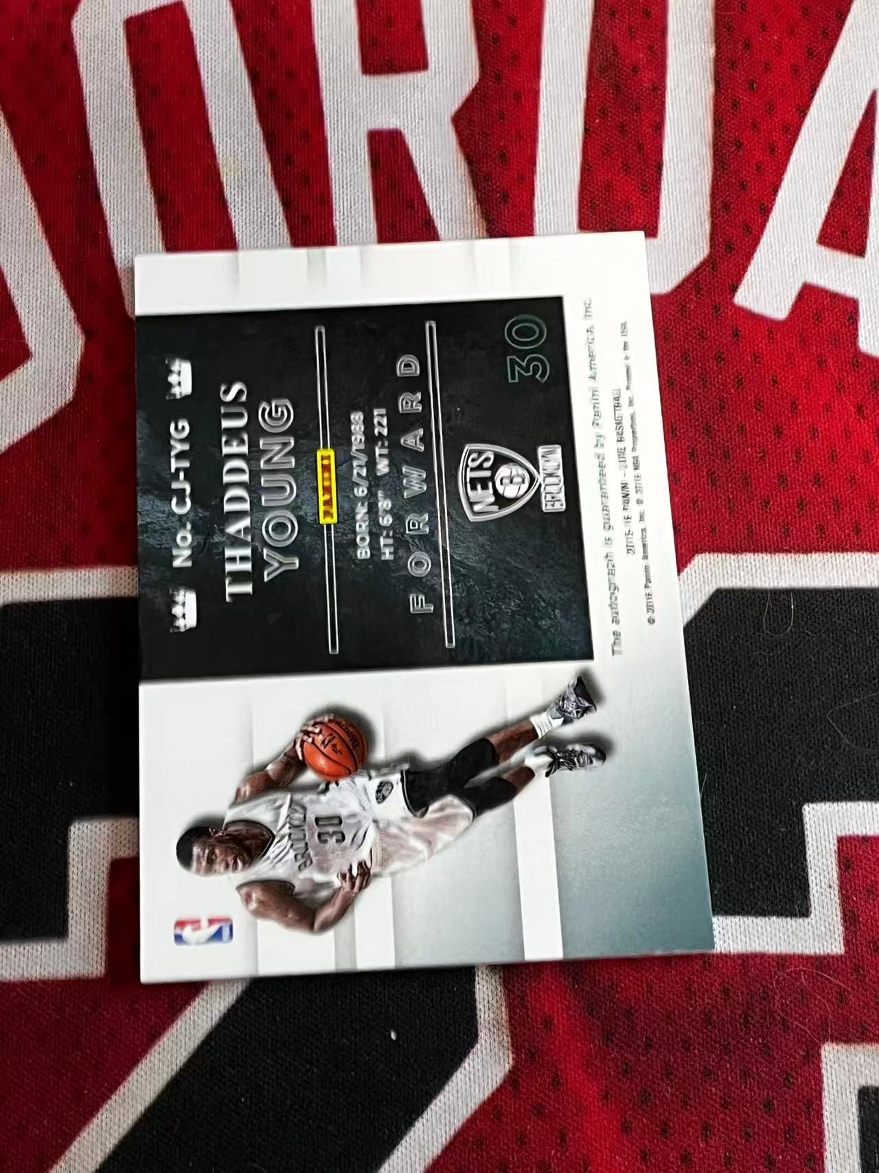 【接寄拍】2015-16 PANINI LUXE 篮网 赛迪斯杨 49编 签字卡 卡签 专收凑套必备【烂臭嘴拍卖】