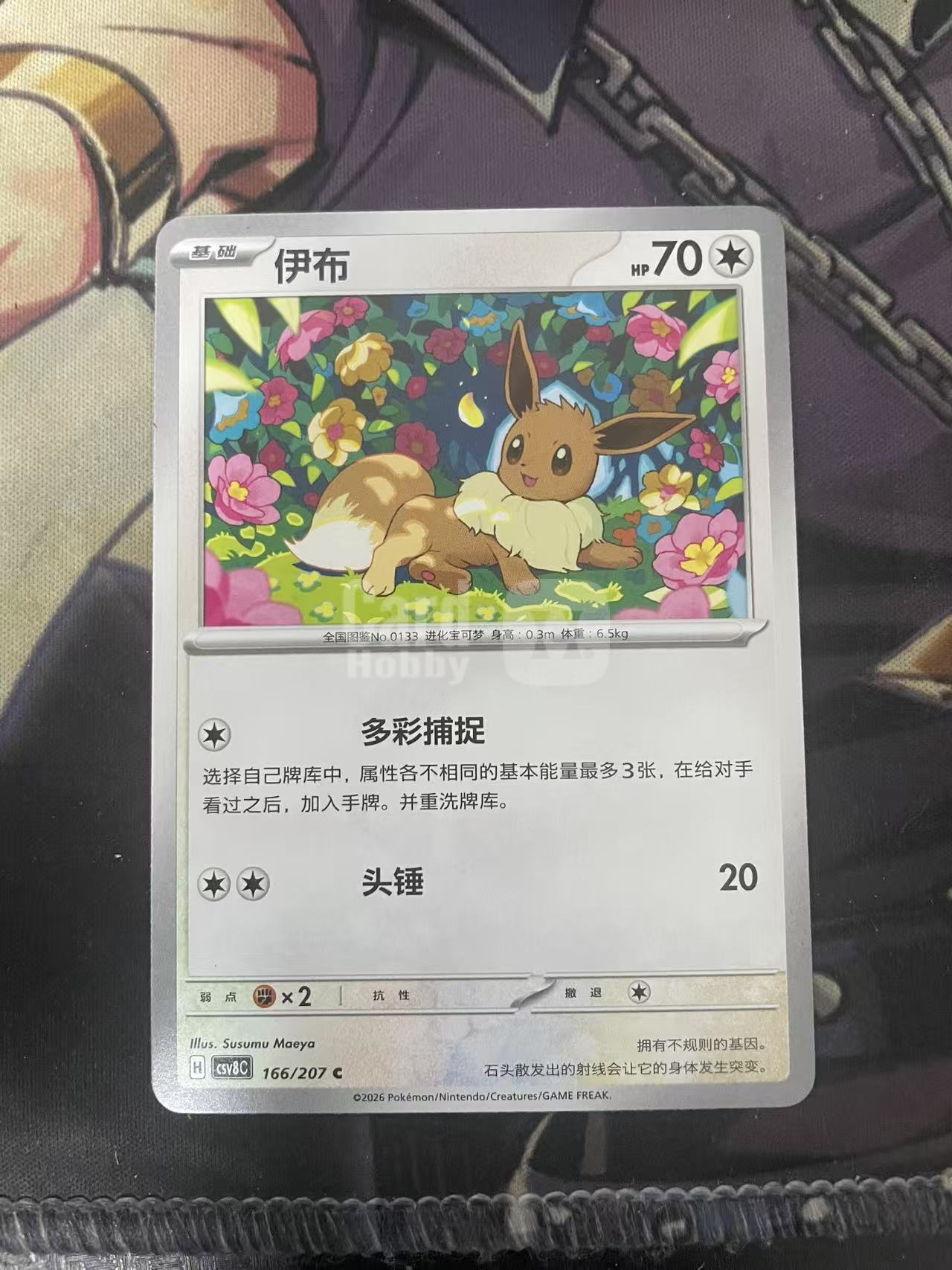 2025 Pokemon TCG 1 伊布 chs 宝可梦 简中 木水拍卖 184