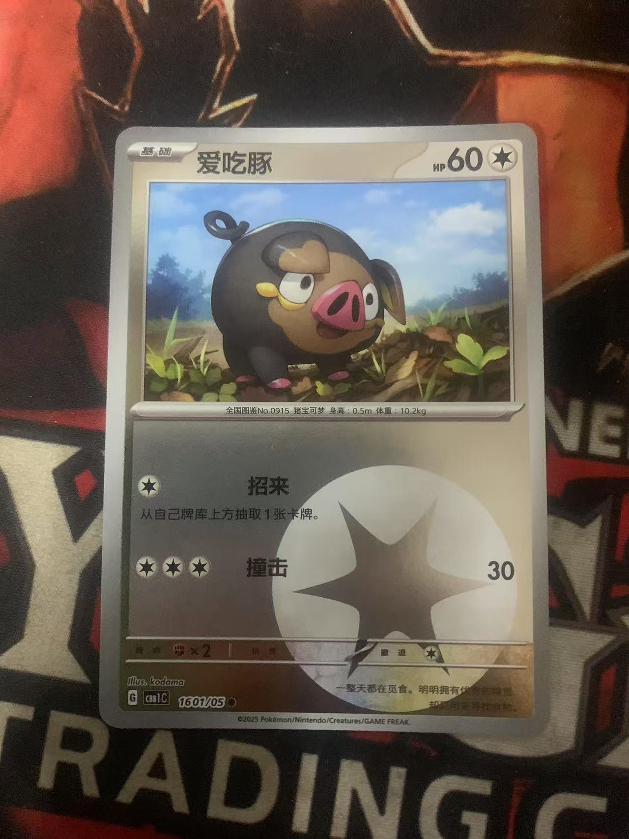 2024 Pokemon TCG 1 爱吃豚 球闪 chs 宝可梦 简中 木水拍卖第一百七十二期
