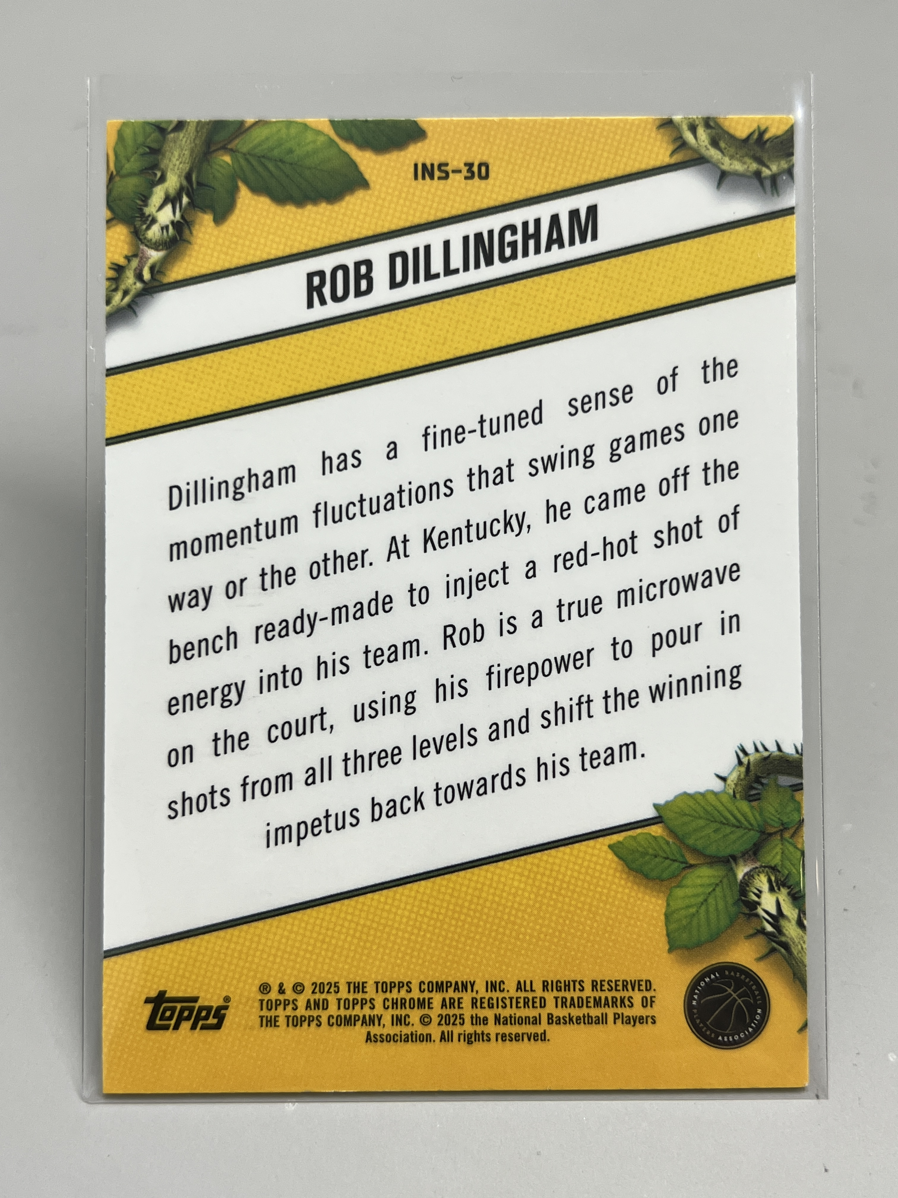 2025 Topps Chrome Rob Dillingham【挂机拍卖】罗布·迪林厄姆 森林狼 INSTINCT 特卡 #30 收藏 凑套 卡品如图
