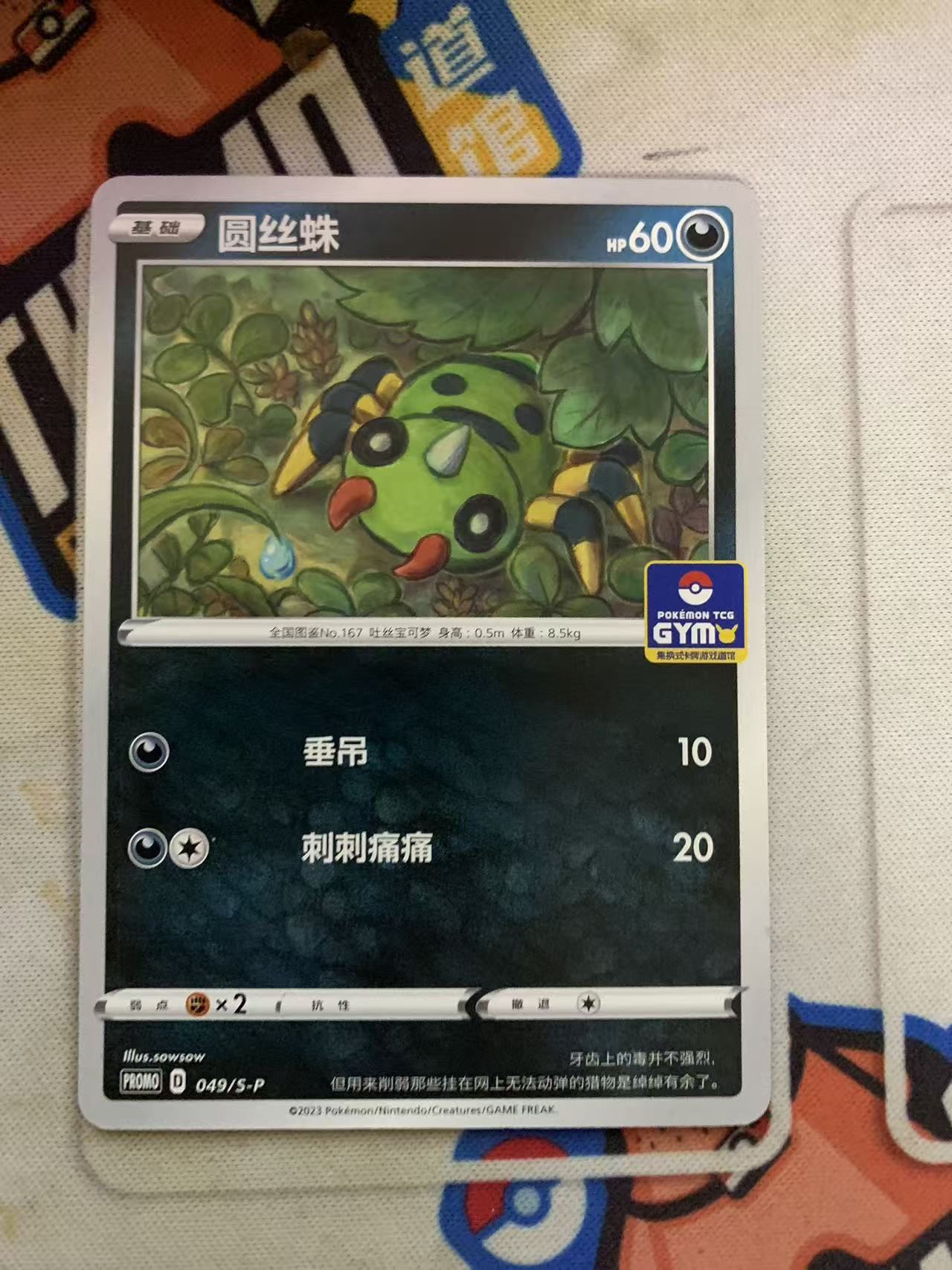 2024 Pokemon TCG 1 圆丝蛛 道馆包 chs 宝可梦 简中 木水拍卖第九十五期