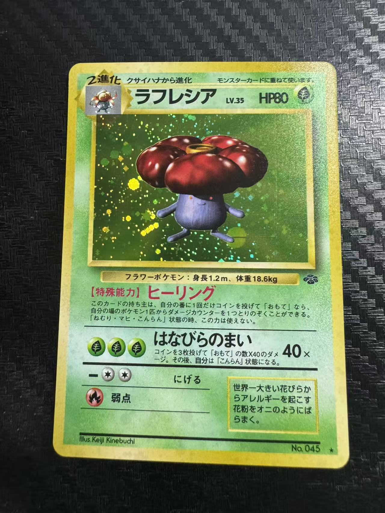 1997 Pokemon TCG Original Pokemon Jungle ラフレシア ja 霸王花 holo闪 OP2 老球背 初代 日版 宝可梦 收藏必备 卡品如图