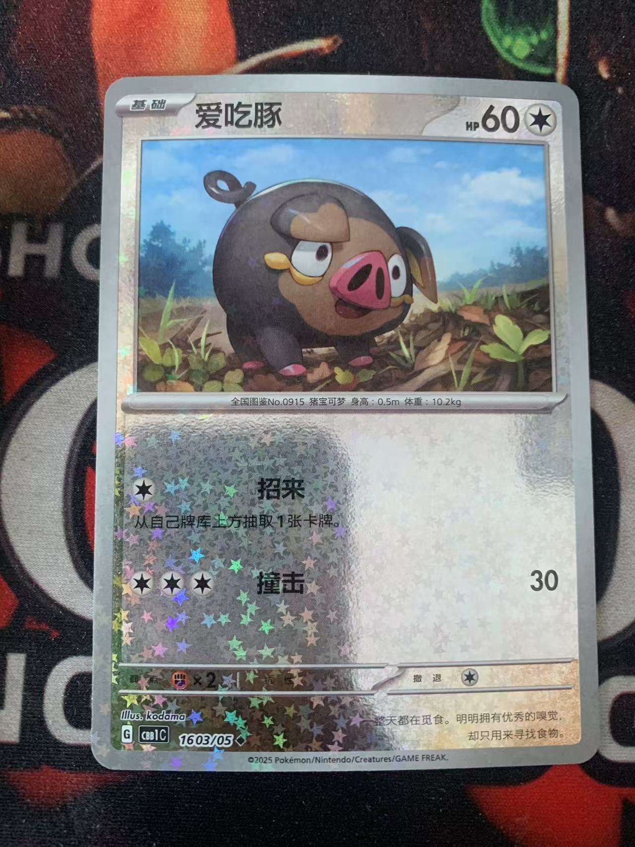 2024 Pokemon TCG 1 爱吃豚 星星闪 chs 宝可梦 简中 木水拍卖第一百五十九期
