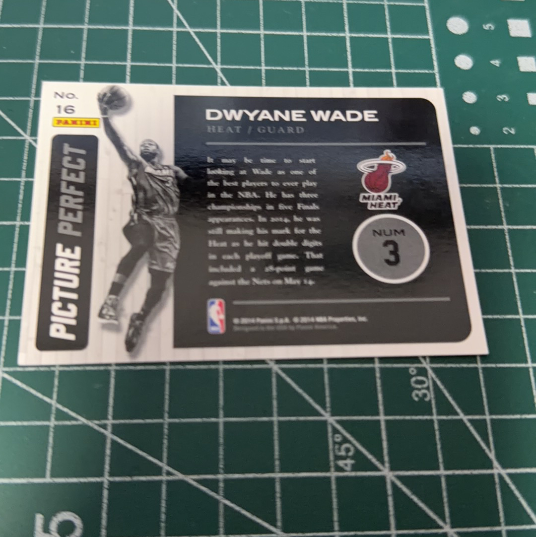 2014-15 Panini Americana Dwyane Wade S.p.a. 闪电侠 德维恩韦德 DW 热火 大头特卡 精美选图 多年老卡 绝版卡 稀有大比例