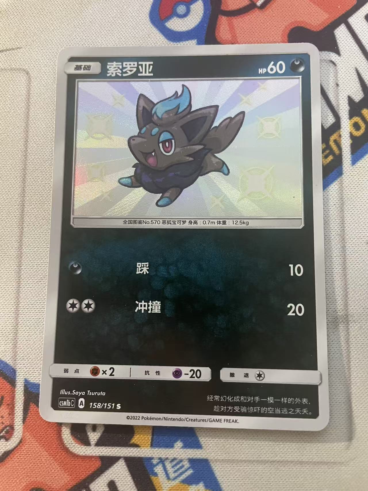 2023 Pokemon TCG 1 索罗亚 S闪 chs 宝可梦 简中 木水拍卖第二百三十期