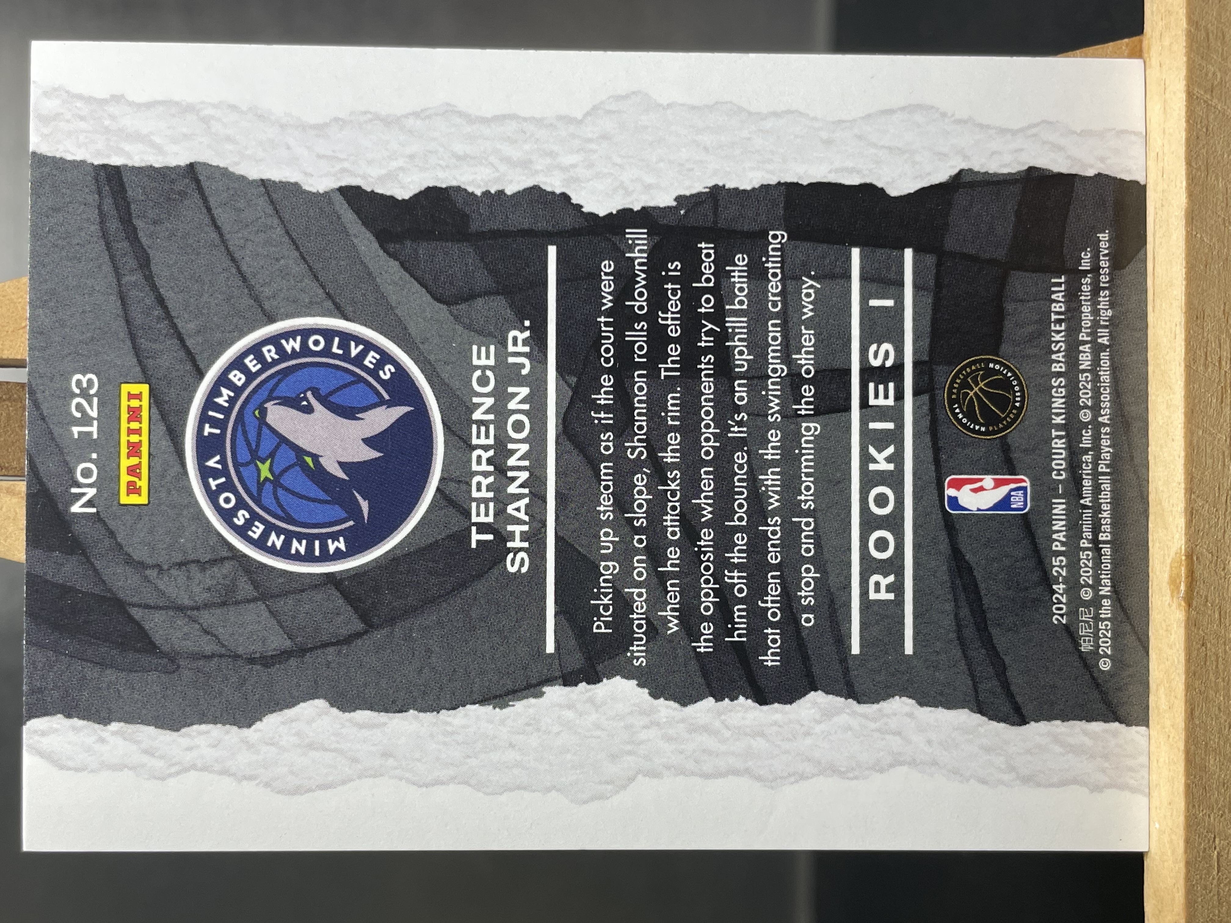 (B6) 2024-25 PANINI 油画系列 新秀RC 小特伦斯 香农 森林狼 实卡好看 收藏凑套必备 卡品如图!!!