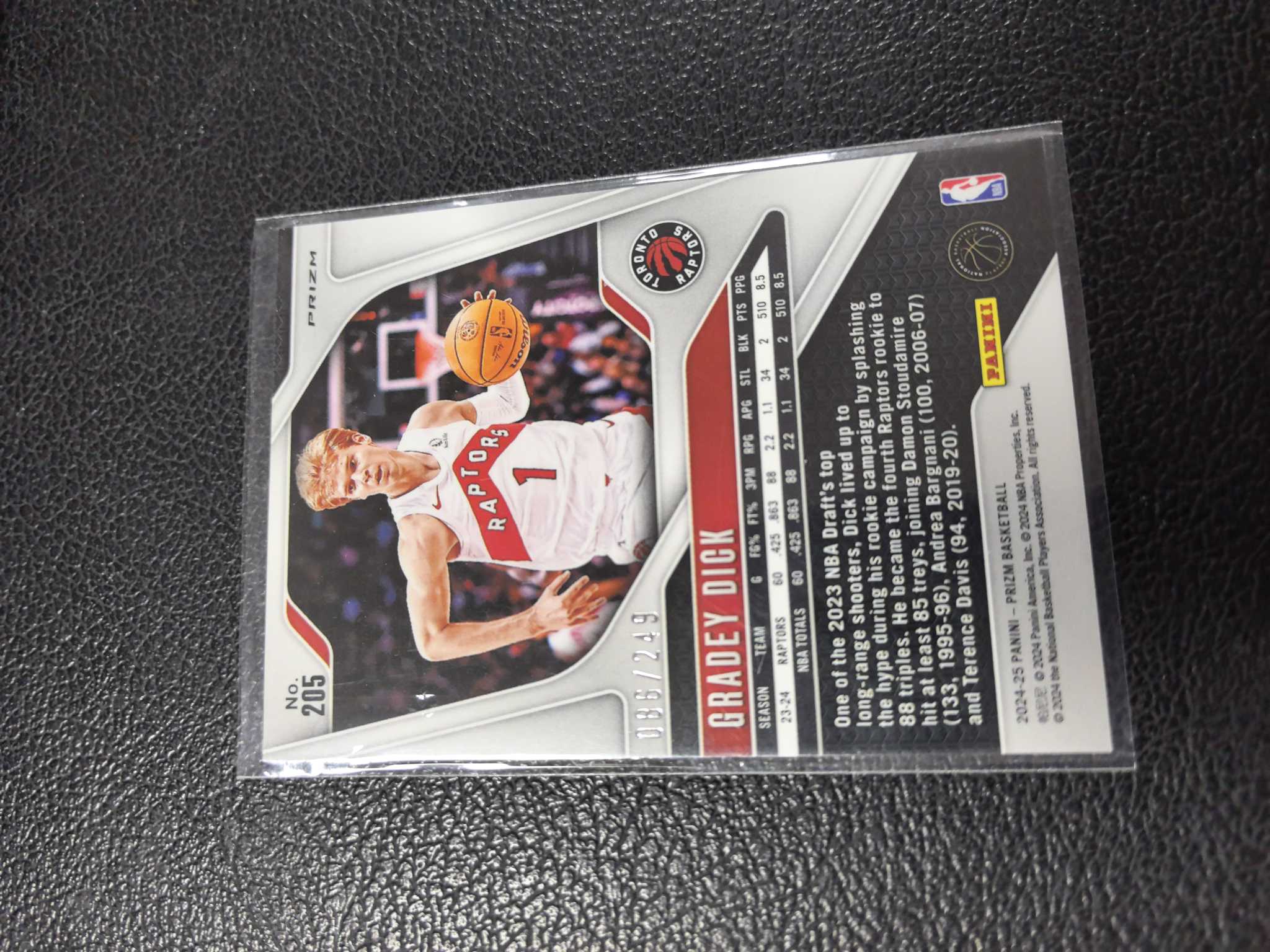 2024-25 迪克 249编 猛龙 银折 波纹折 prizm 10-7