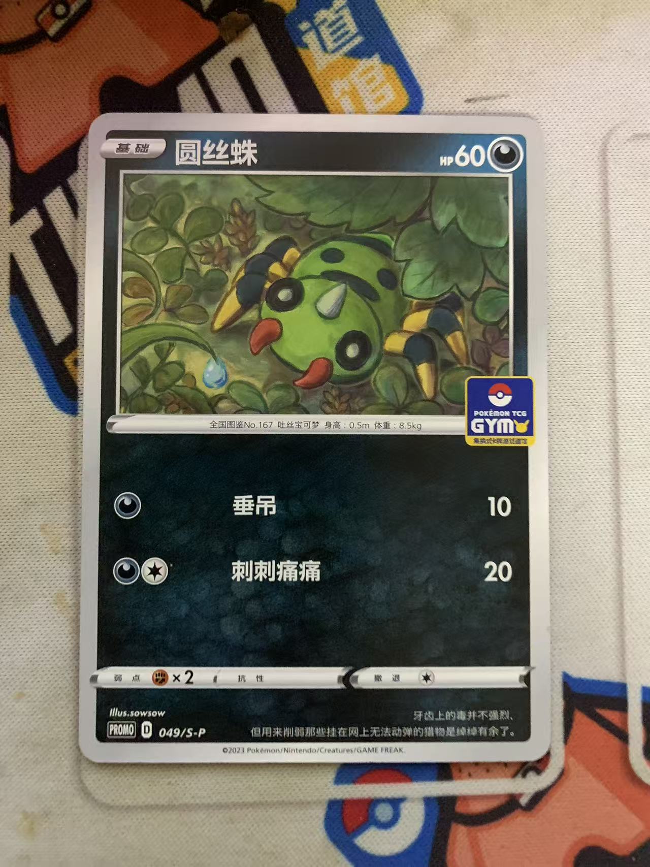 2024 Pokemon TCG 1 圆丝蛛 道馆包 chs 宝可梦 简中 木水拍卖第九十五期