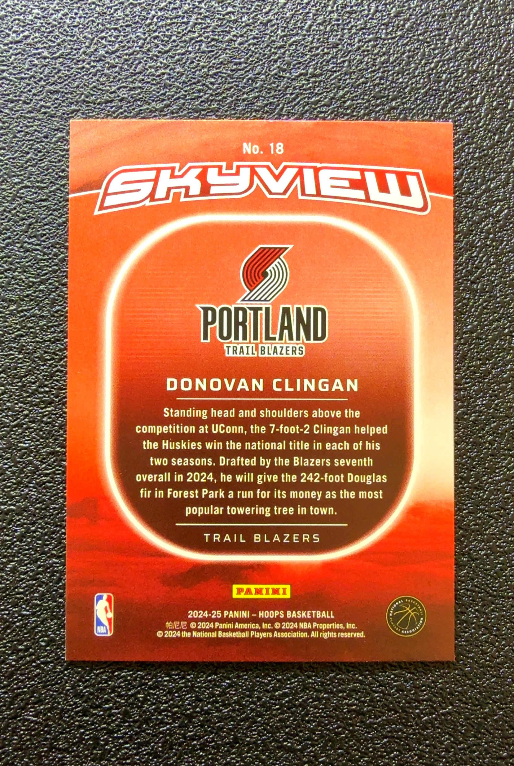 【小白1%代卖】2024 Panini Skyview NBA Hoops Donovan Clingan 唐文森·克林根 新秀 RC 卡品如图 高价值 #18 Portland 0020#67