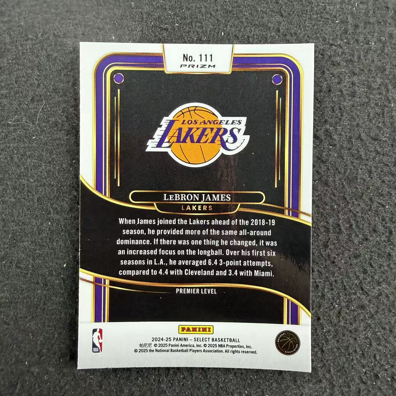 【阿福拍卖】2024-25 Panini Select LeBron James 勒布朗 詹姆斯 湖人 蓝折 收藏必备(CMY)