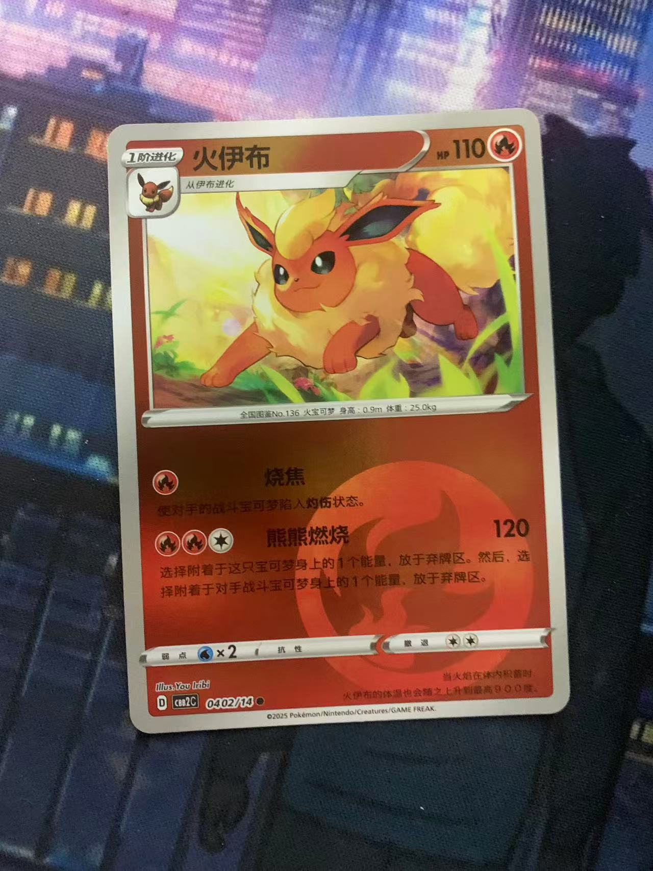 2024 Pokemon TCG 宝石包 火伊布 球闪 chs 宝可梦 简中 木水拍卖第二百零四期