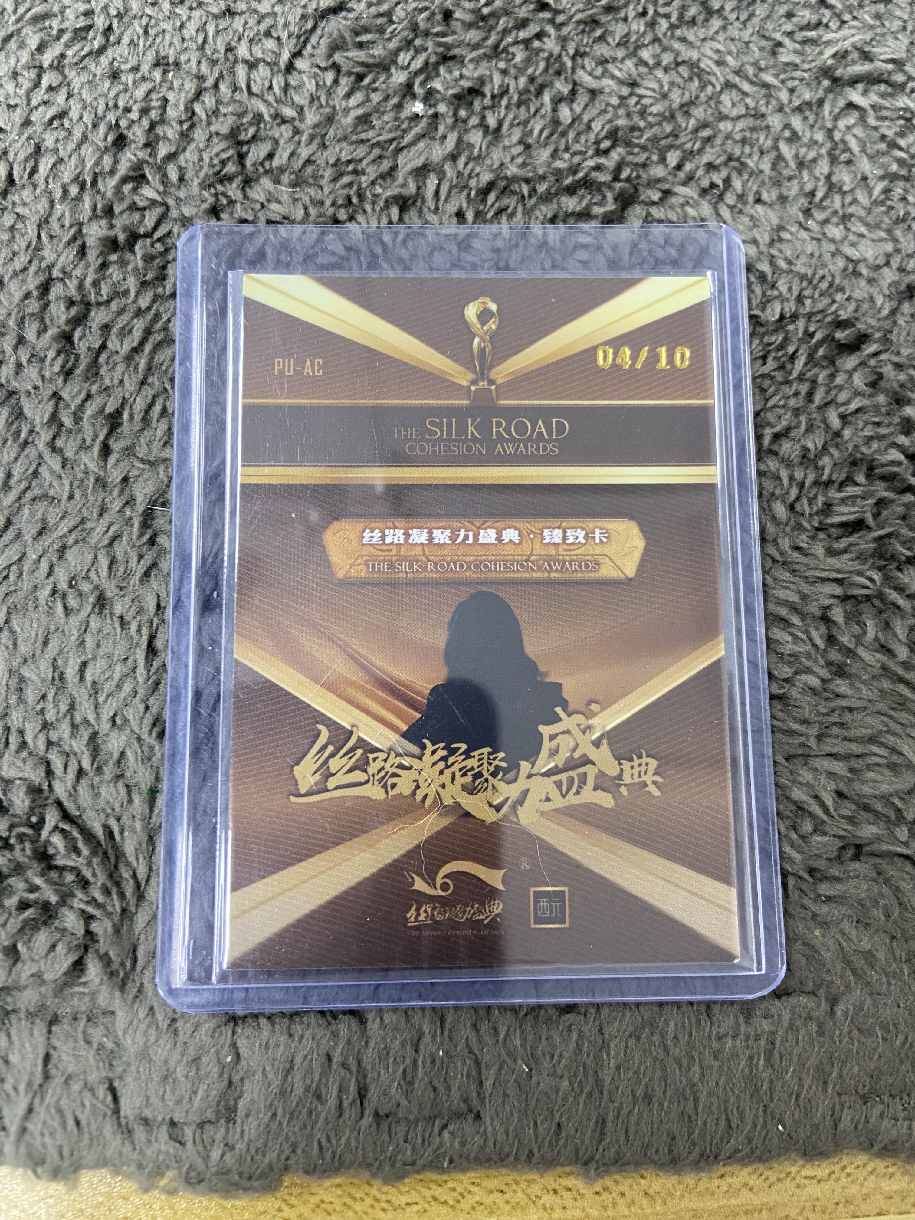 2025 丝绸之路 丝绸凝聚力 朱茵 单人定妆 臻致卡 04/10 饭总