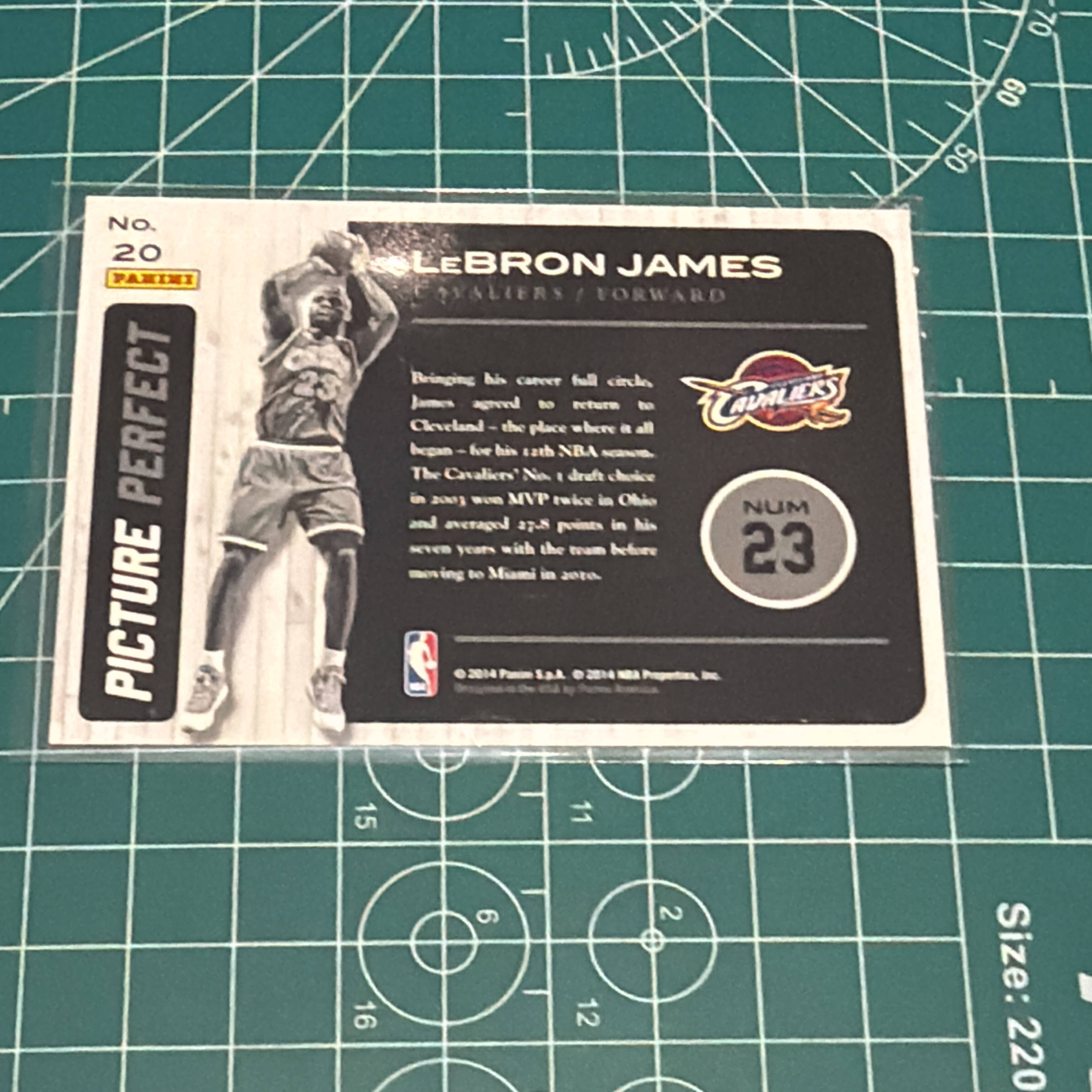 2014-15 Panini Americana LeBron James S.p.a. 勒布朗詹姆斯 小皇帝 LBJ 大头特卡 闪卡 双选图 十年老卡 绝版卡 稀有大比例 收藏必备