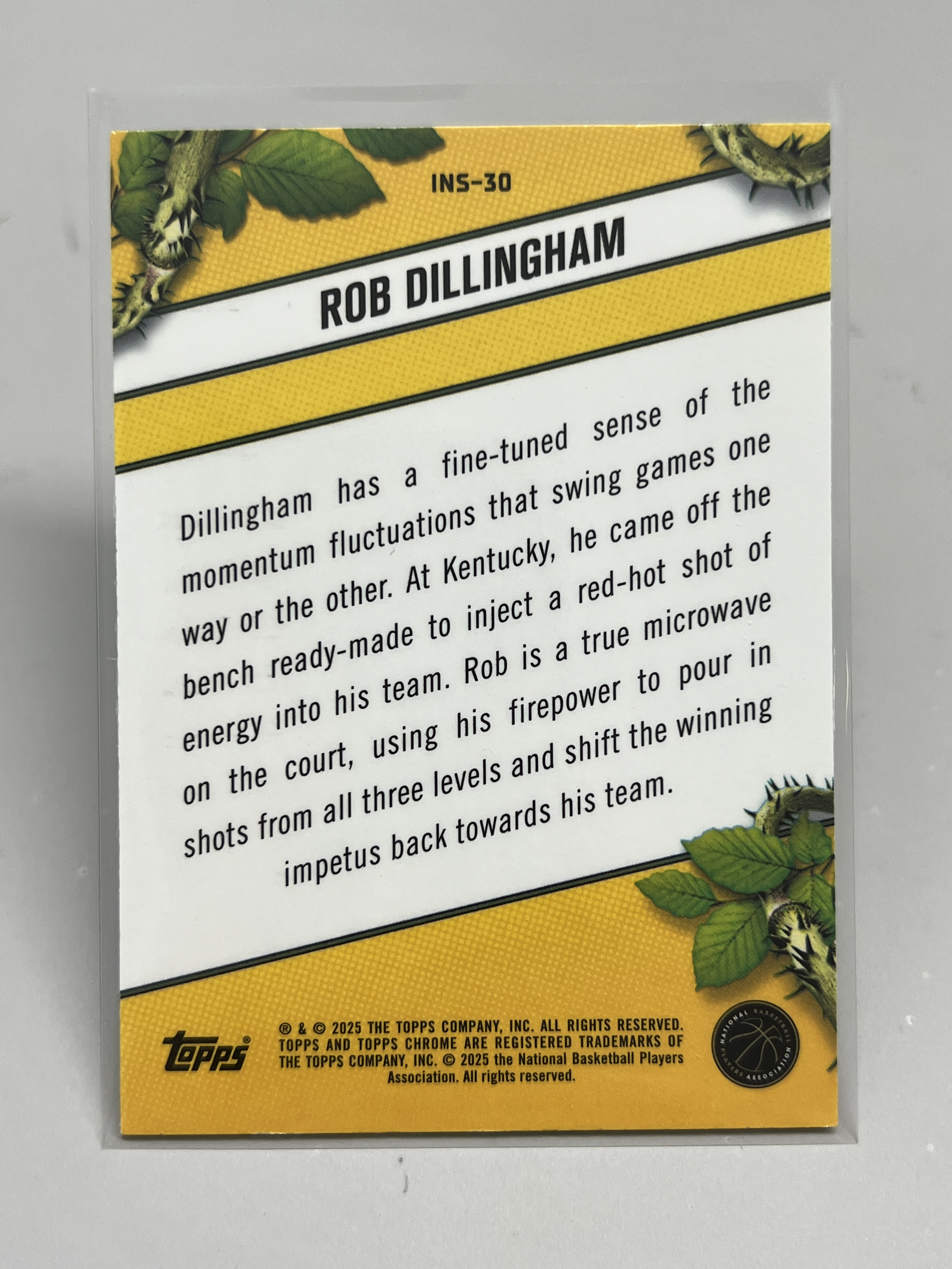 2025 Topps Chrome Rob Dillingham 【挂机拍卖】罗布·迪林厄姆 森林狼 INSTINCT 特卡 #30 收藏 凑套 卡品如图