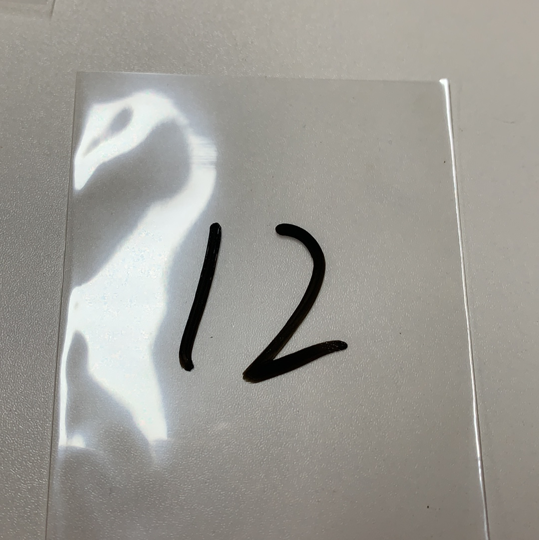 【DC拍卖】11.20. CR7 经典高端系列LOT7 2012-13 PANINI KOBE ANTHOLOGY kobe 名人堂传奇巨星 湖人王朝领军人物 黑曼巴 科比 布莱恩特 凑套必备