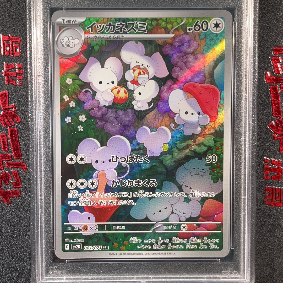 2023 Pokemon TCG SV2D PTCG 宝可梦 日版 一家鼠 081/071 AR PSA 10分 卡品如图 ja 【御三家杰哥 ...