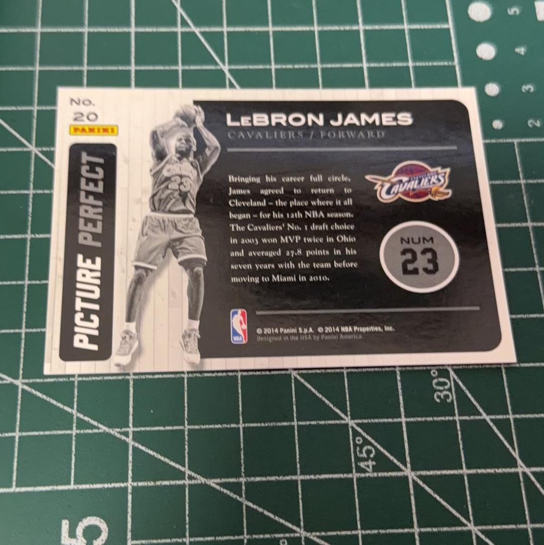 2014-15 Panini Americana LeBron James S.p.a. 勒布朗詹姆斯 小皇帝 LBJ 大头特卡 闪卡 双选图 十年老卡 绝版卡 稀有大比例 收藏必备