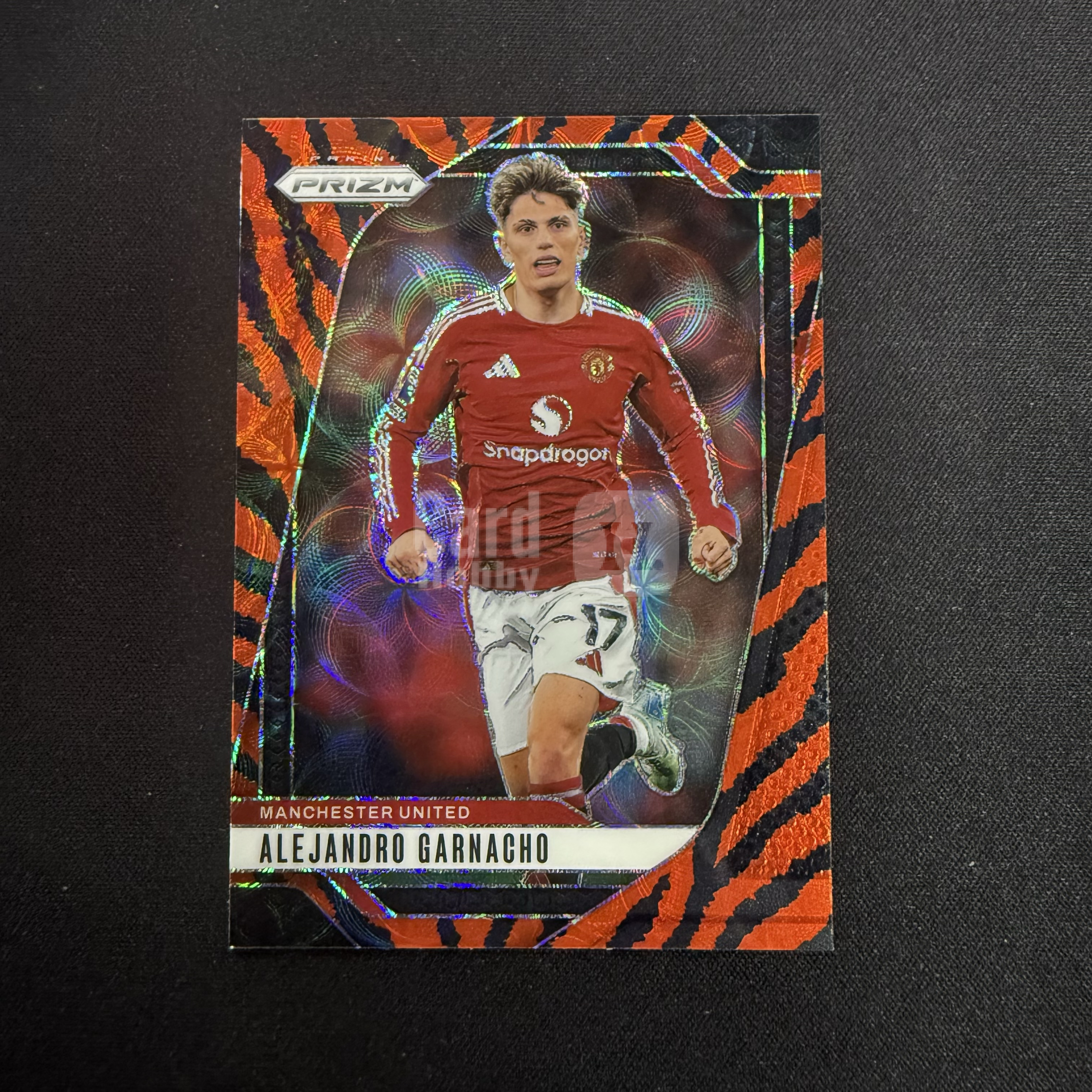 2024-25 Panini Prizm Alejandro Garnacho 【SC拍卖】pz 英超 加纳乔 曼联 虎皮 sp 收藏必备(winston老板)