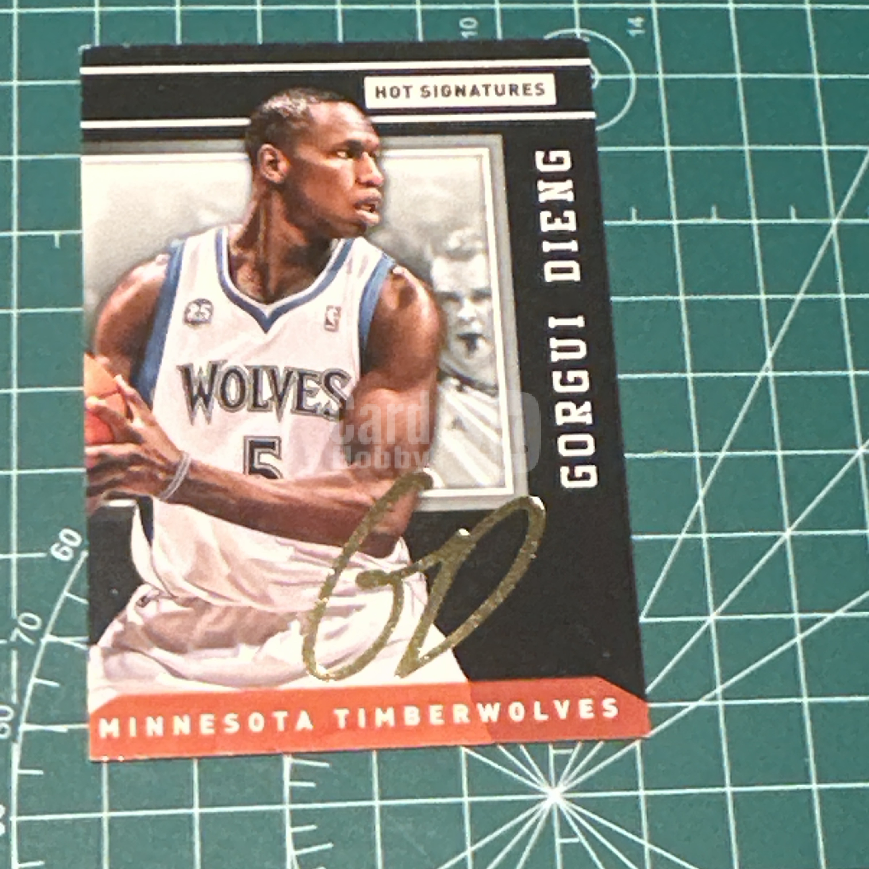 2014-15 Panini S.p.A Gorgui Dieng 中雅图/中亚图 戈尔吉吉昂 金签卡 签名 签字 金色印签 特卡 老卡 绝版卡 稀有大比例